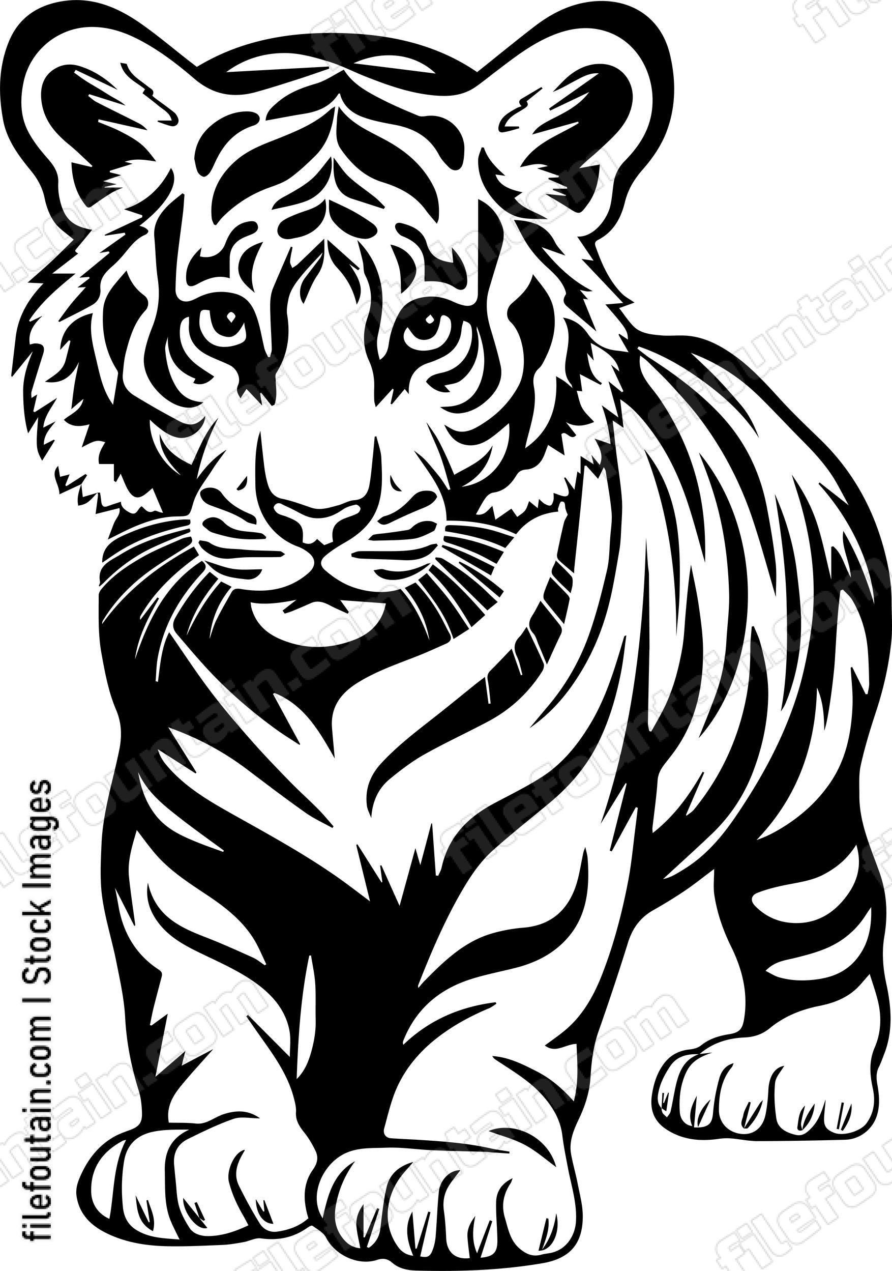 Baby Tiger