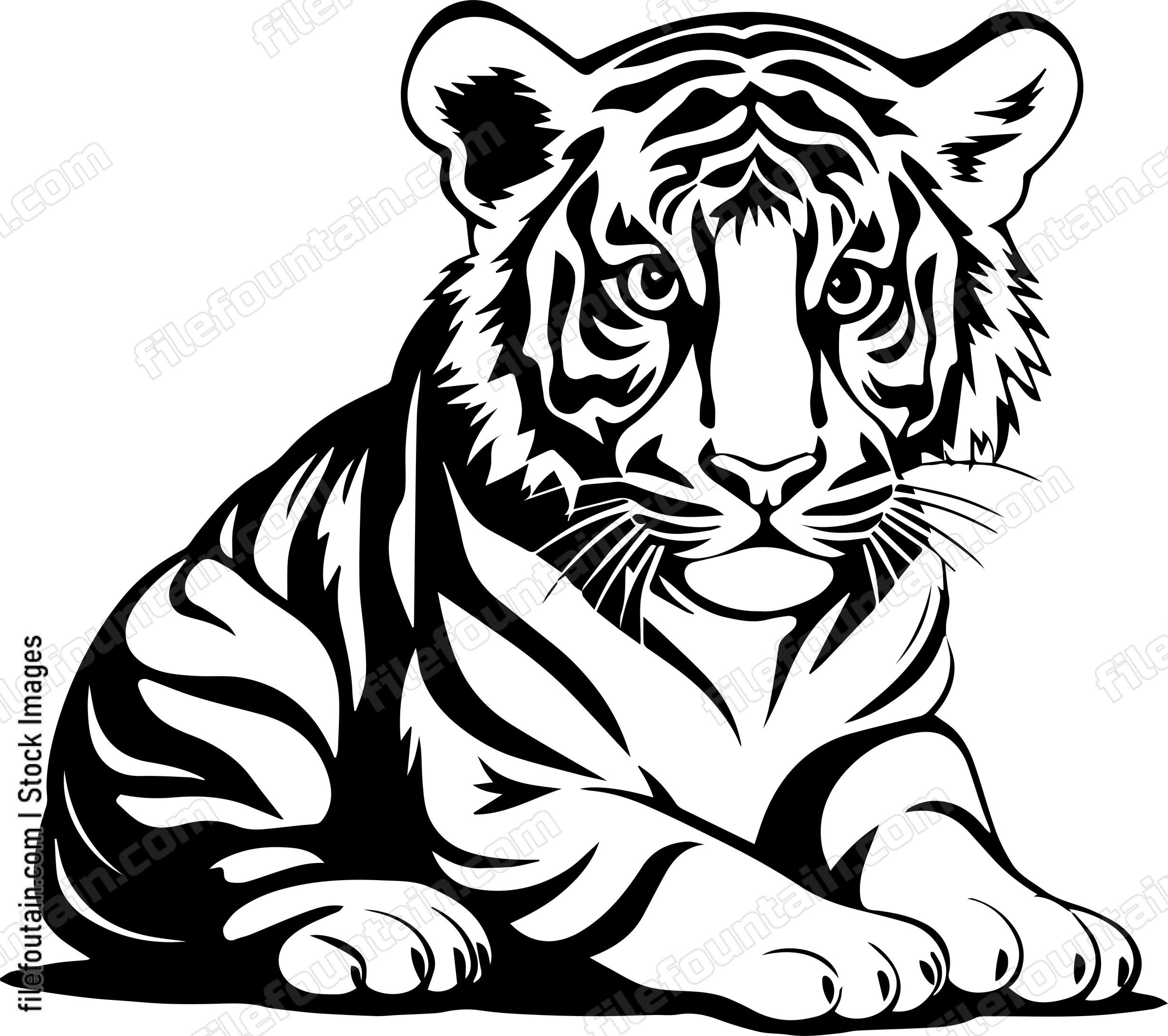 Baby Tiger