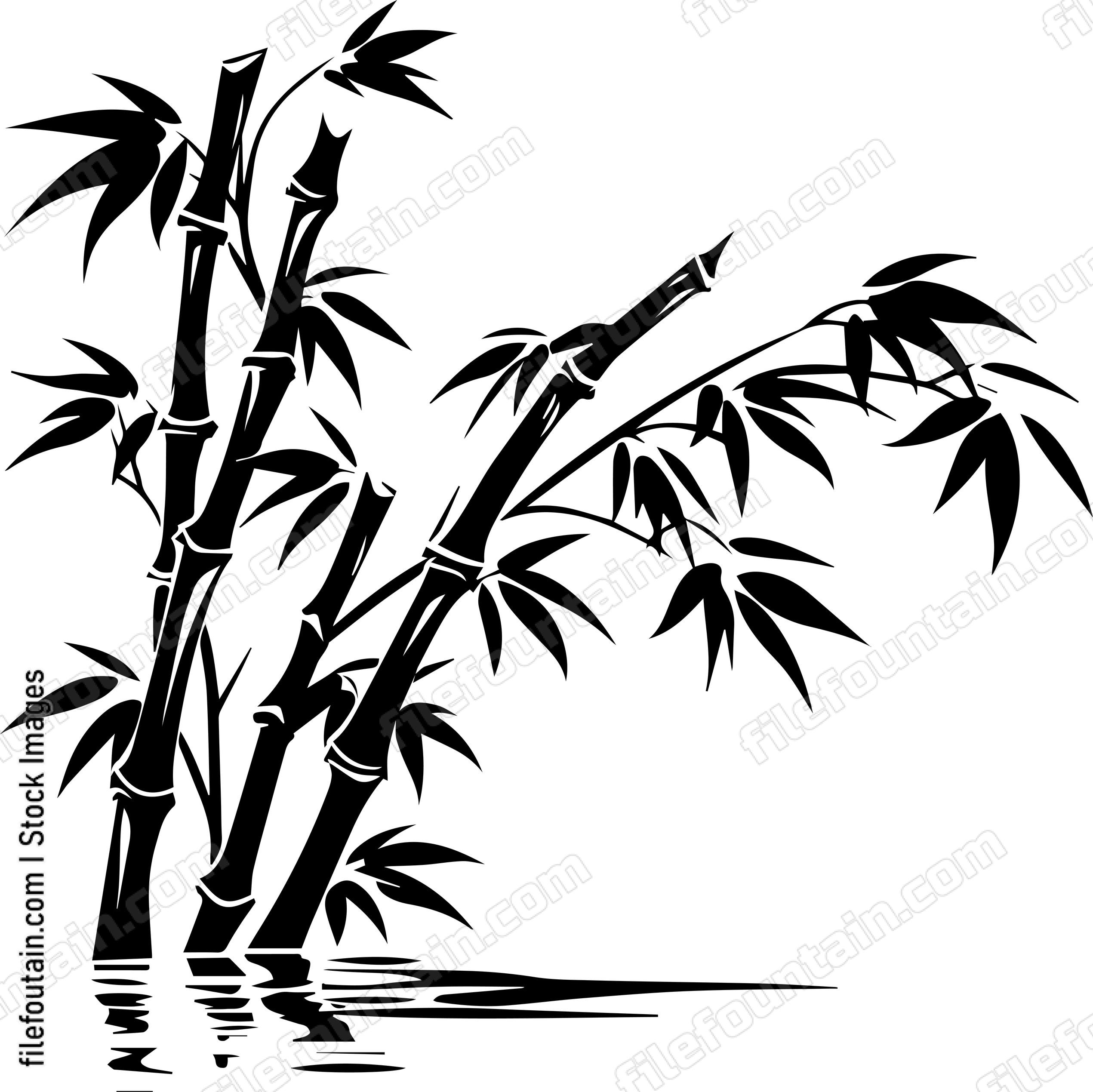 Bamboo