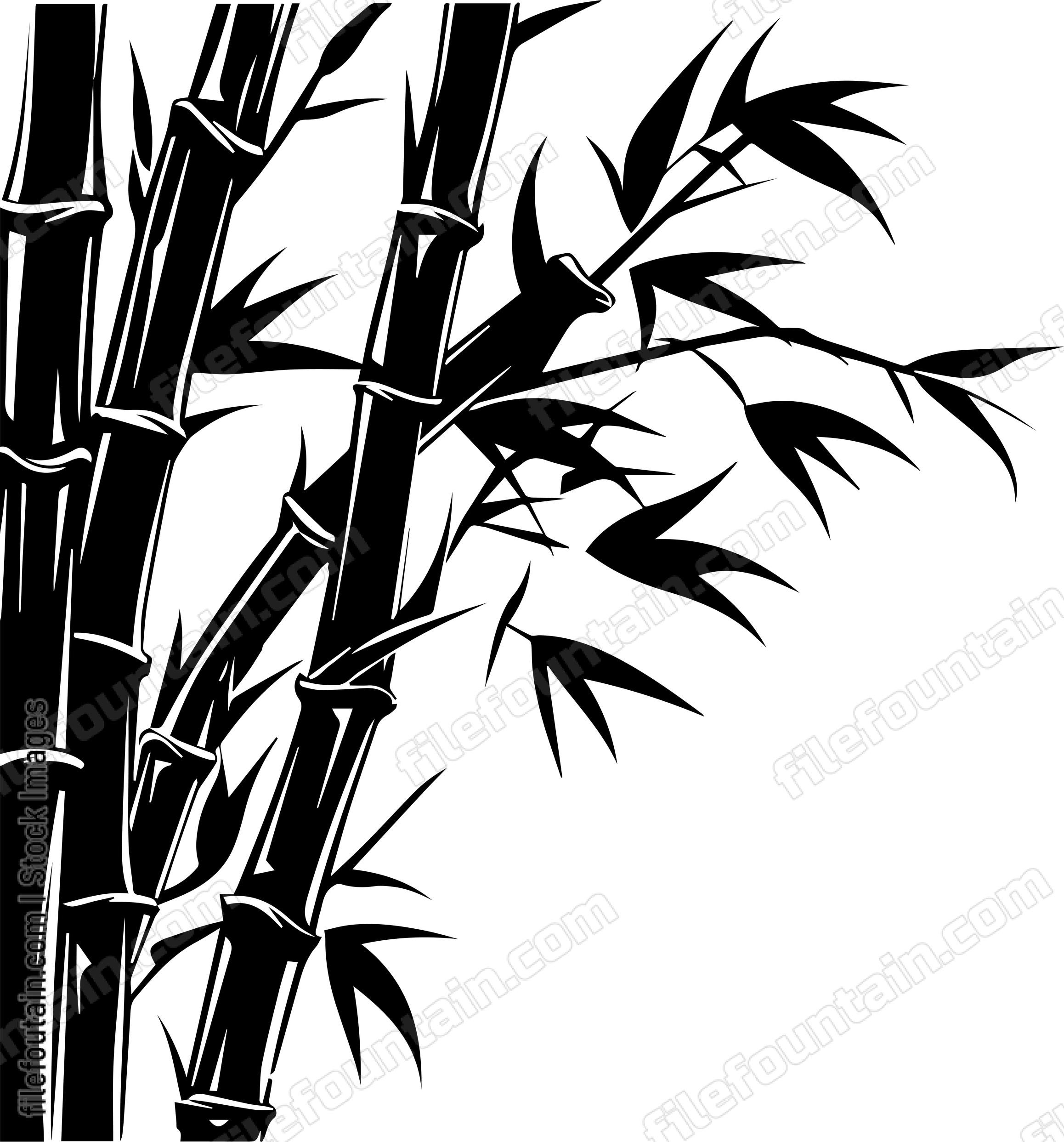 Bamboo
