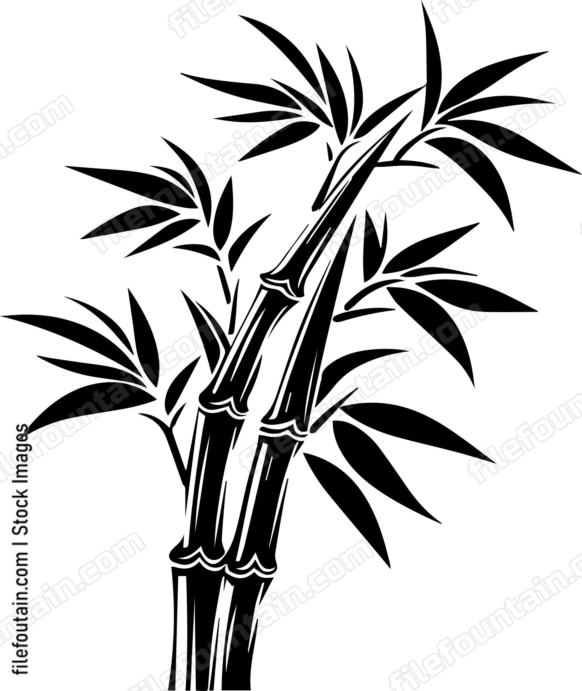 Bamboo
