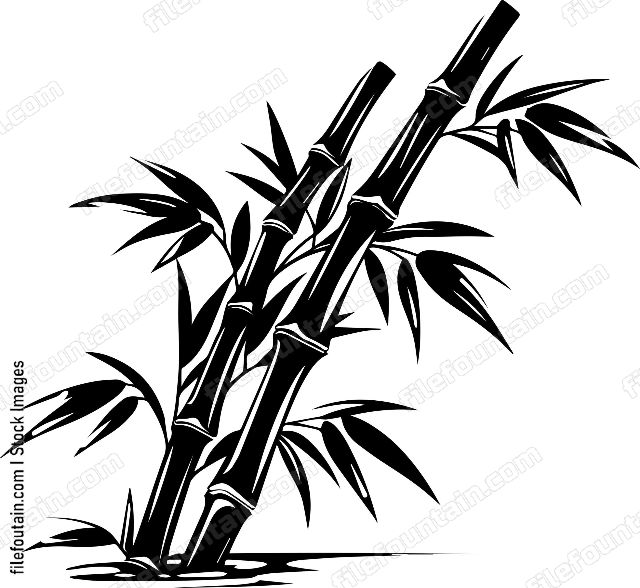 Bamboo