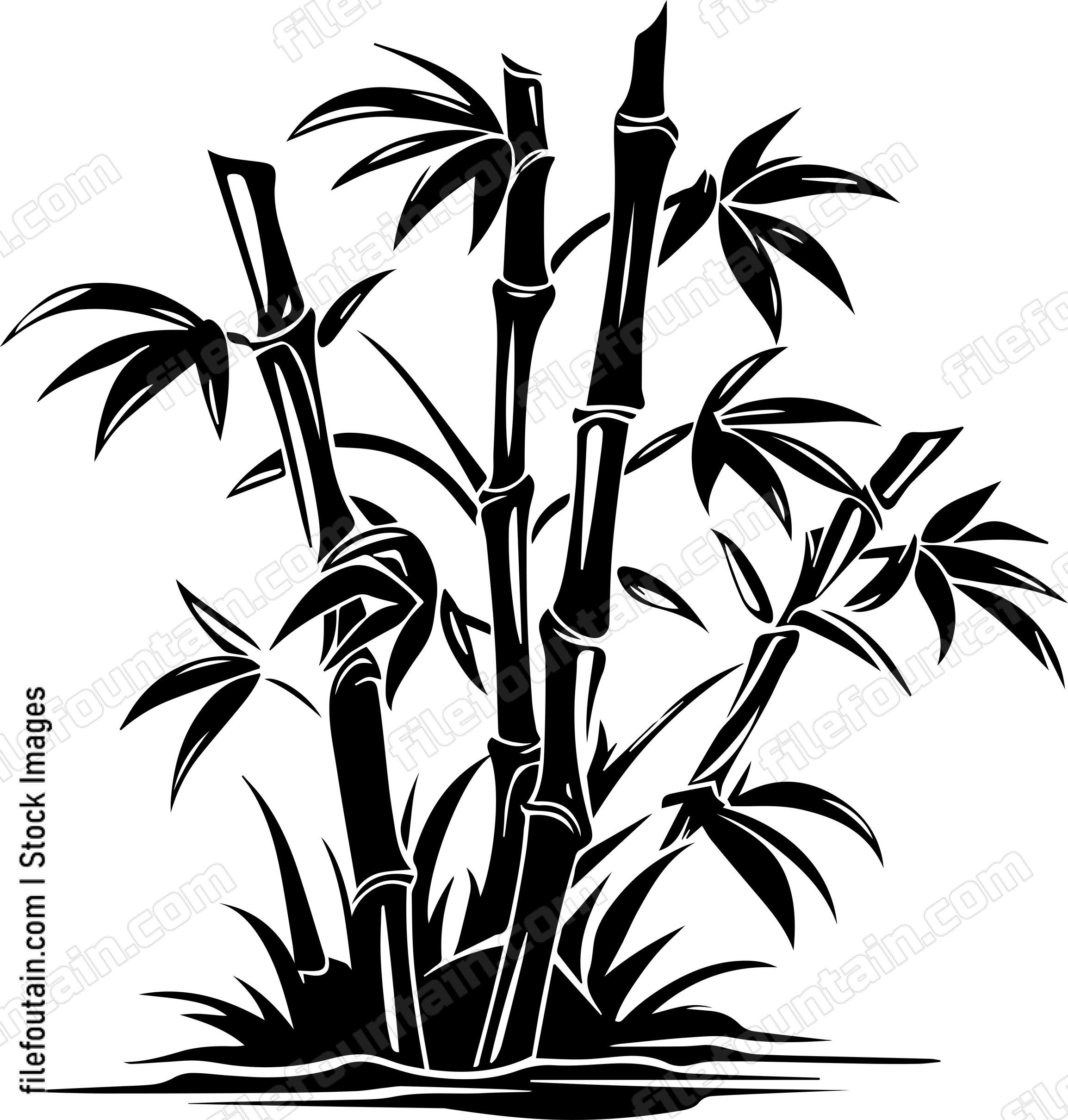 Bamboo