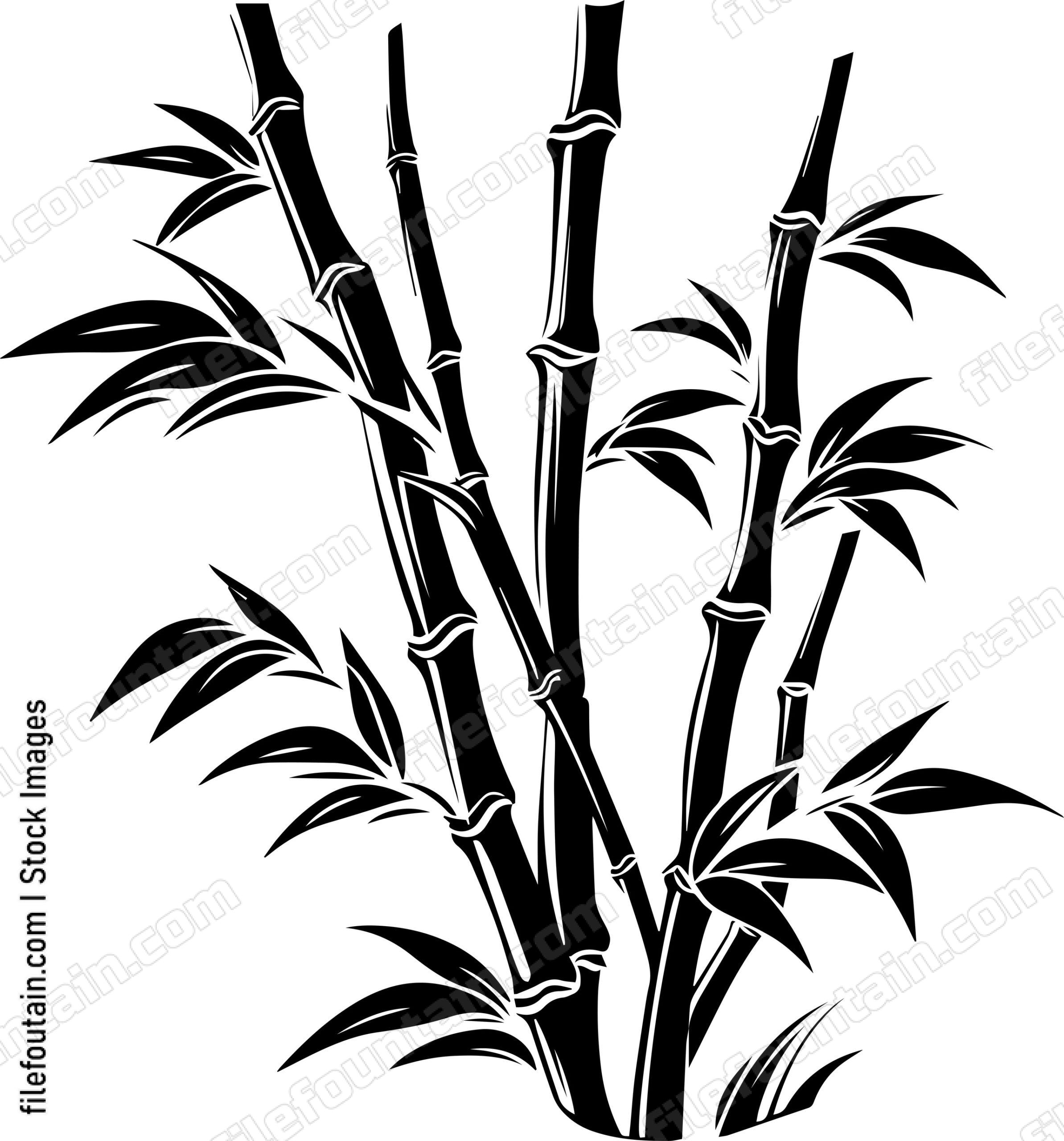 Bamboo