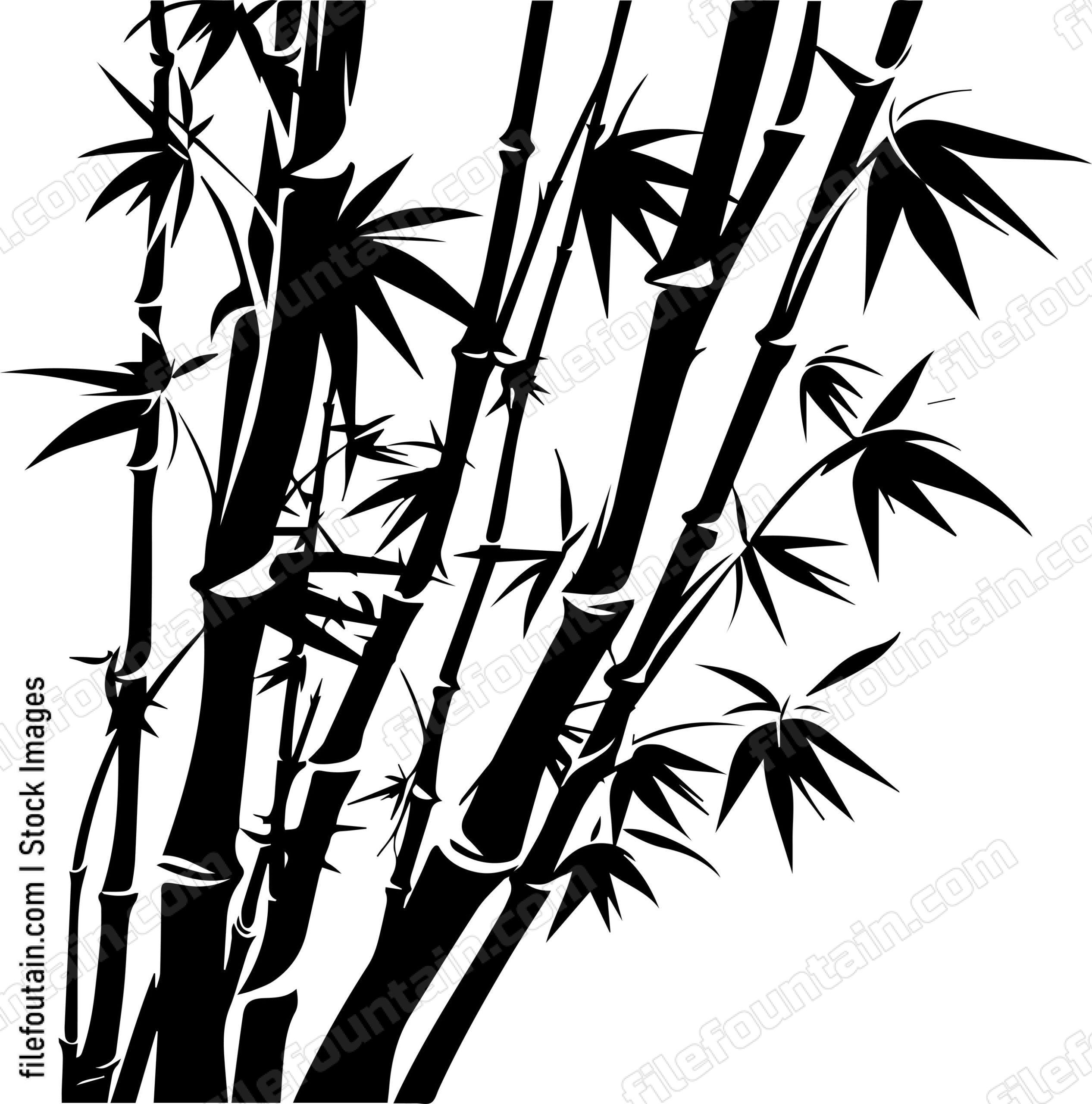Bamboo