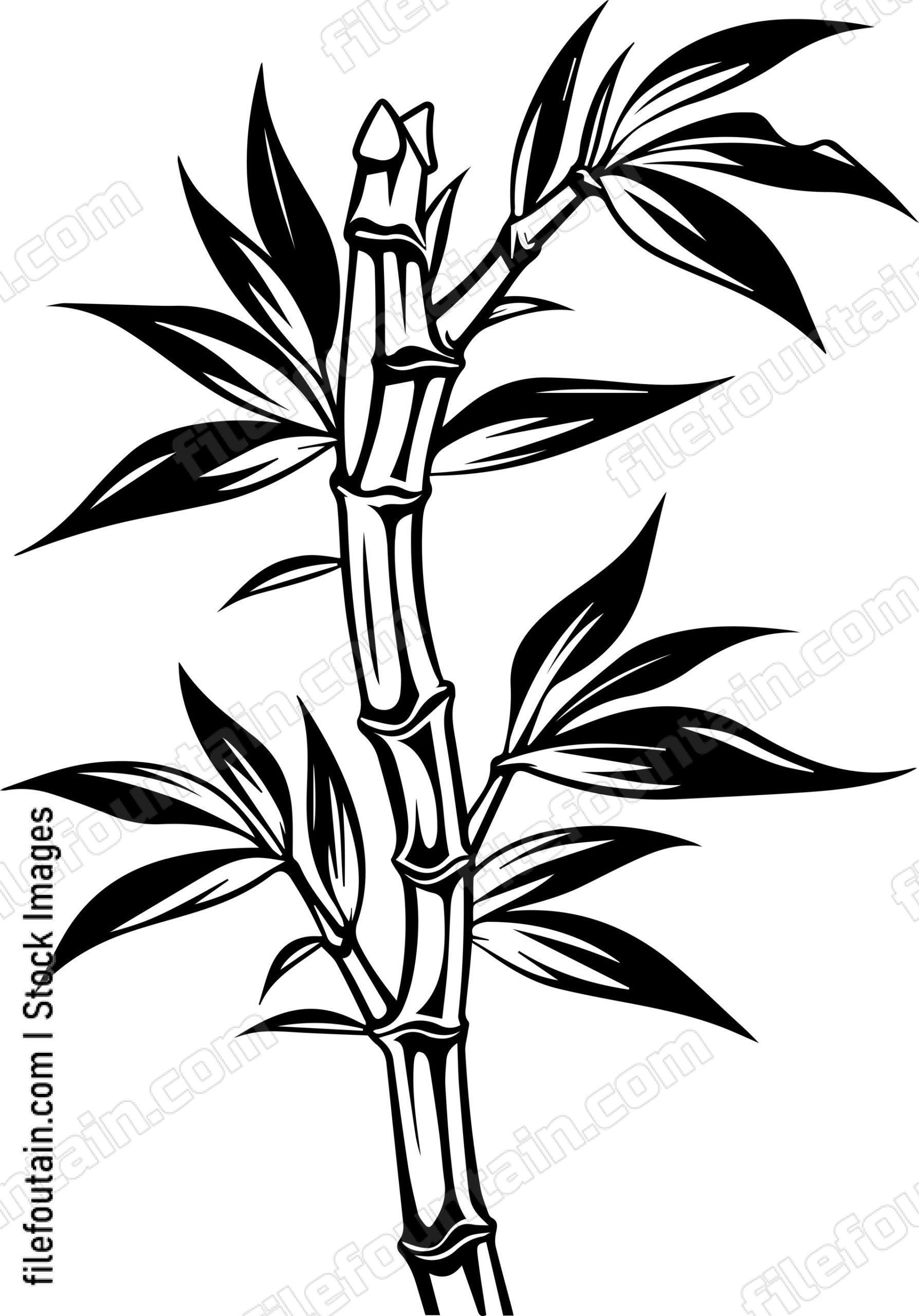 Bamboo