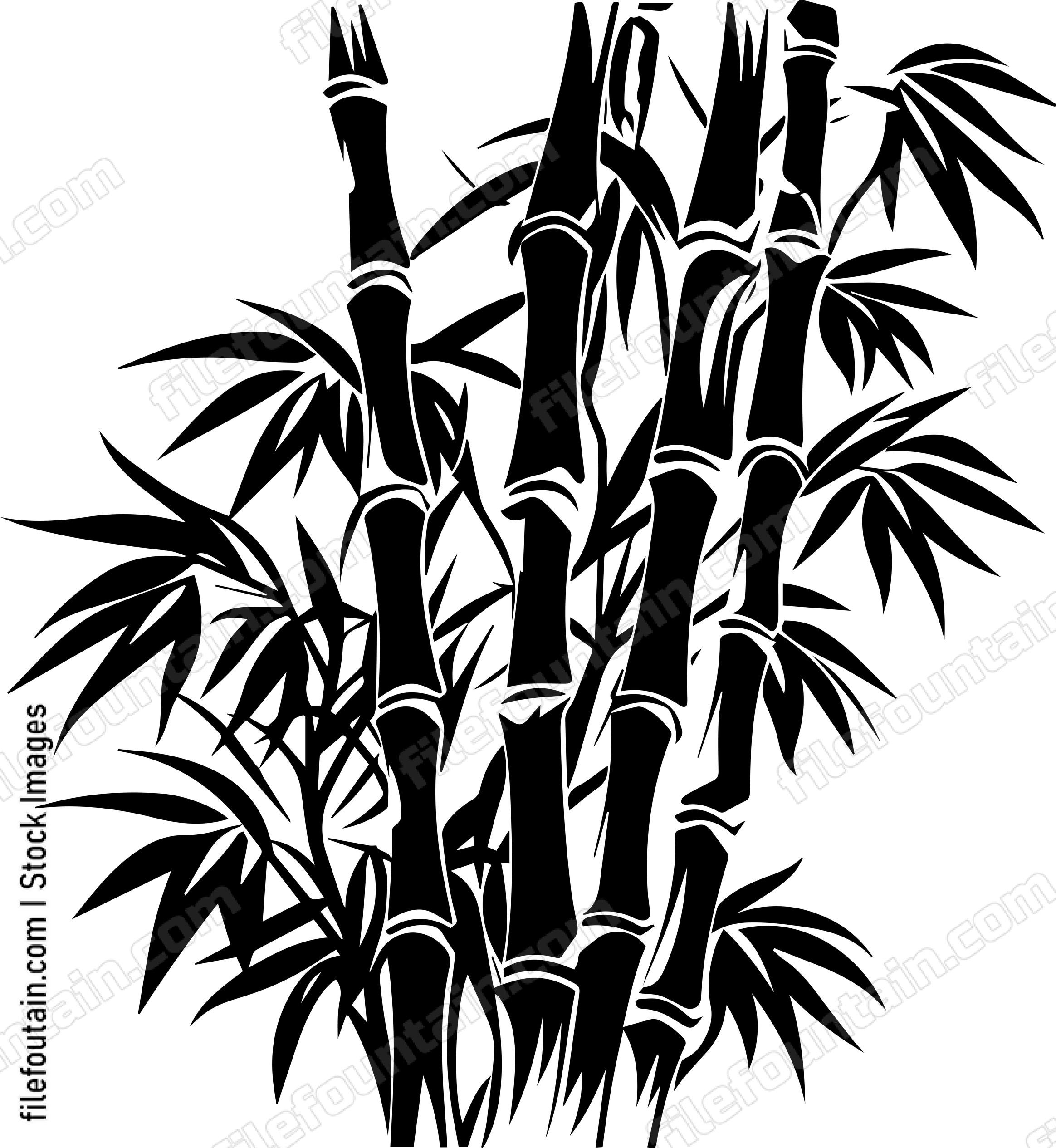 Bamboo