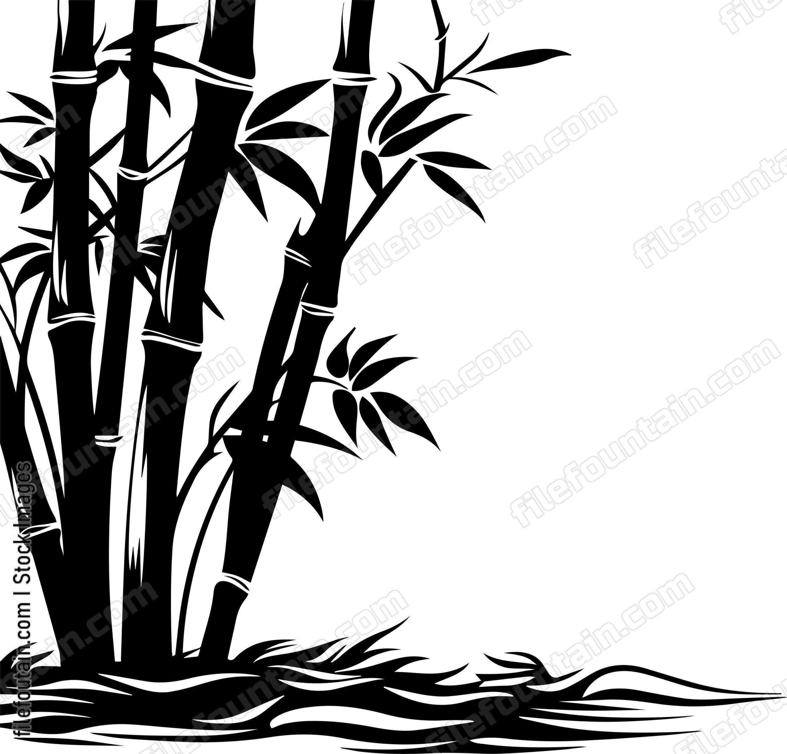Bamboo