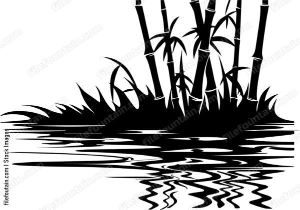 Bamboo