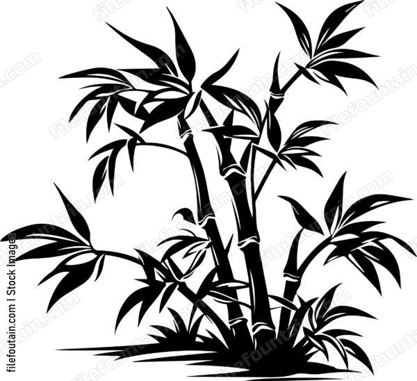 Bamboo