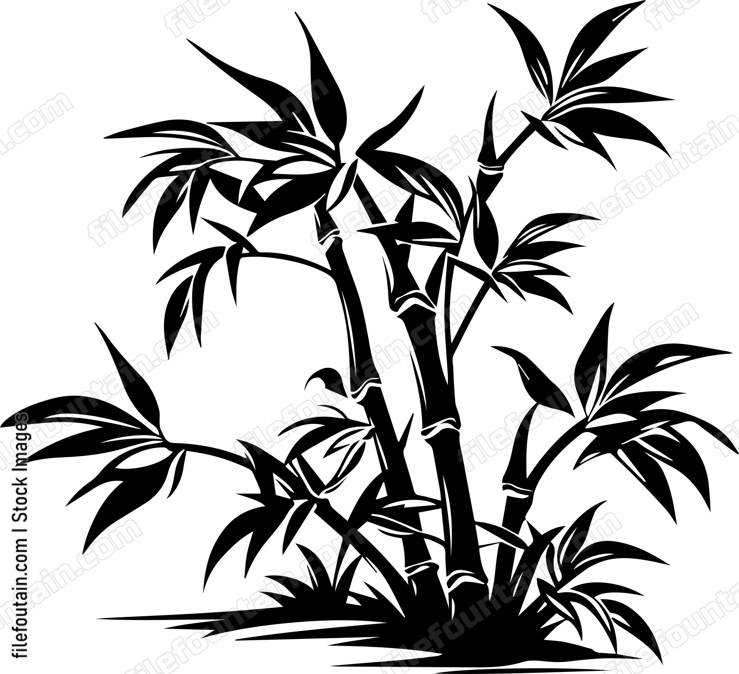 Bamboo