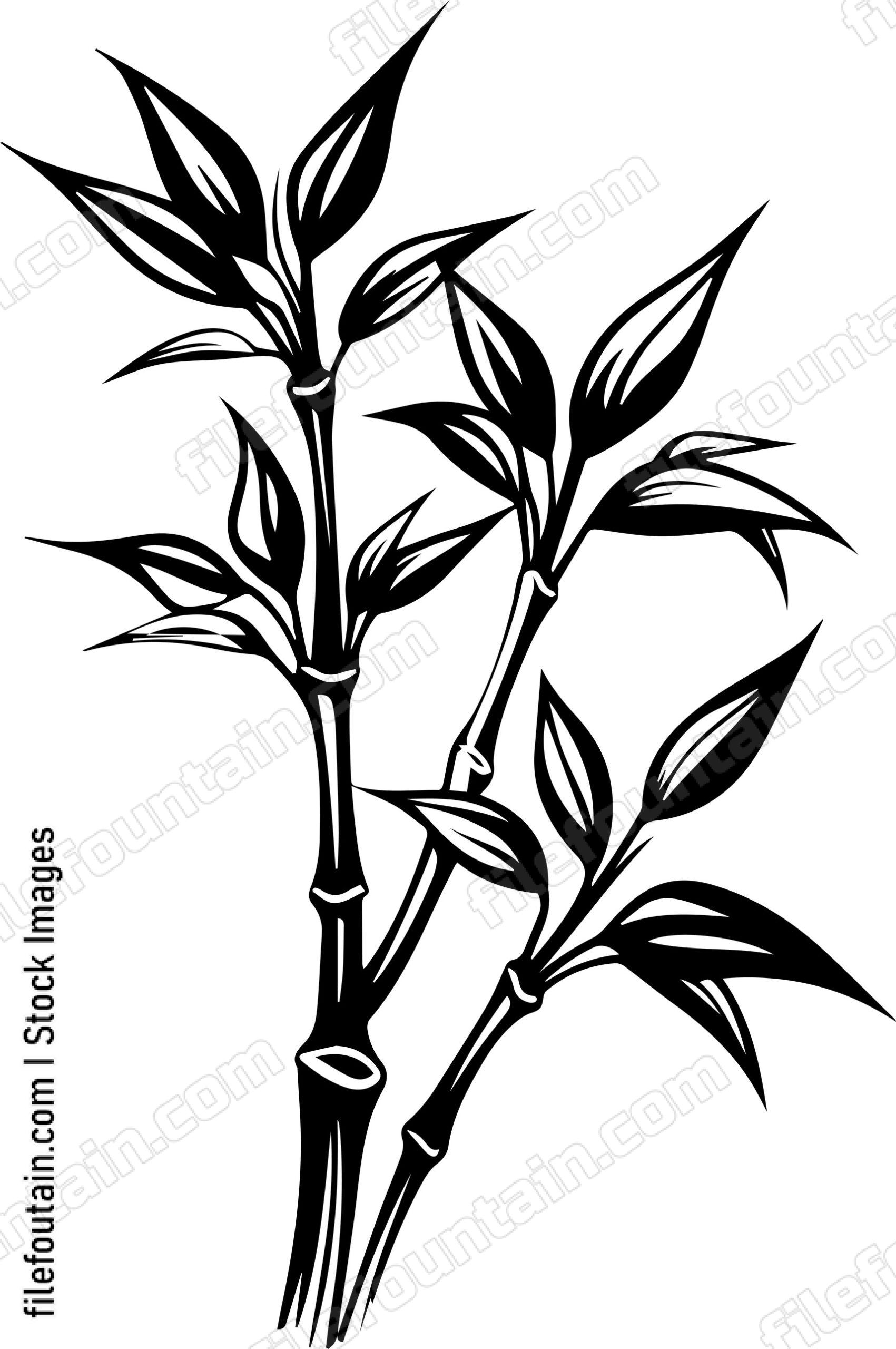 Bamboo