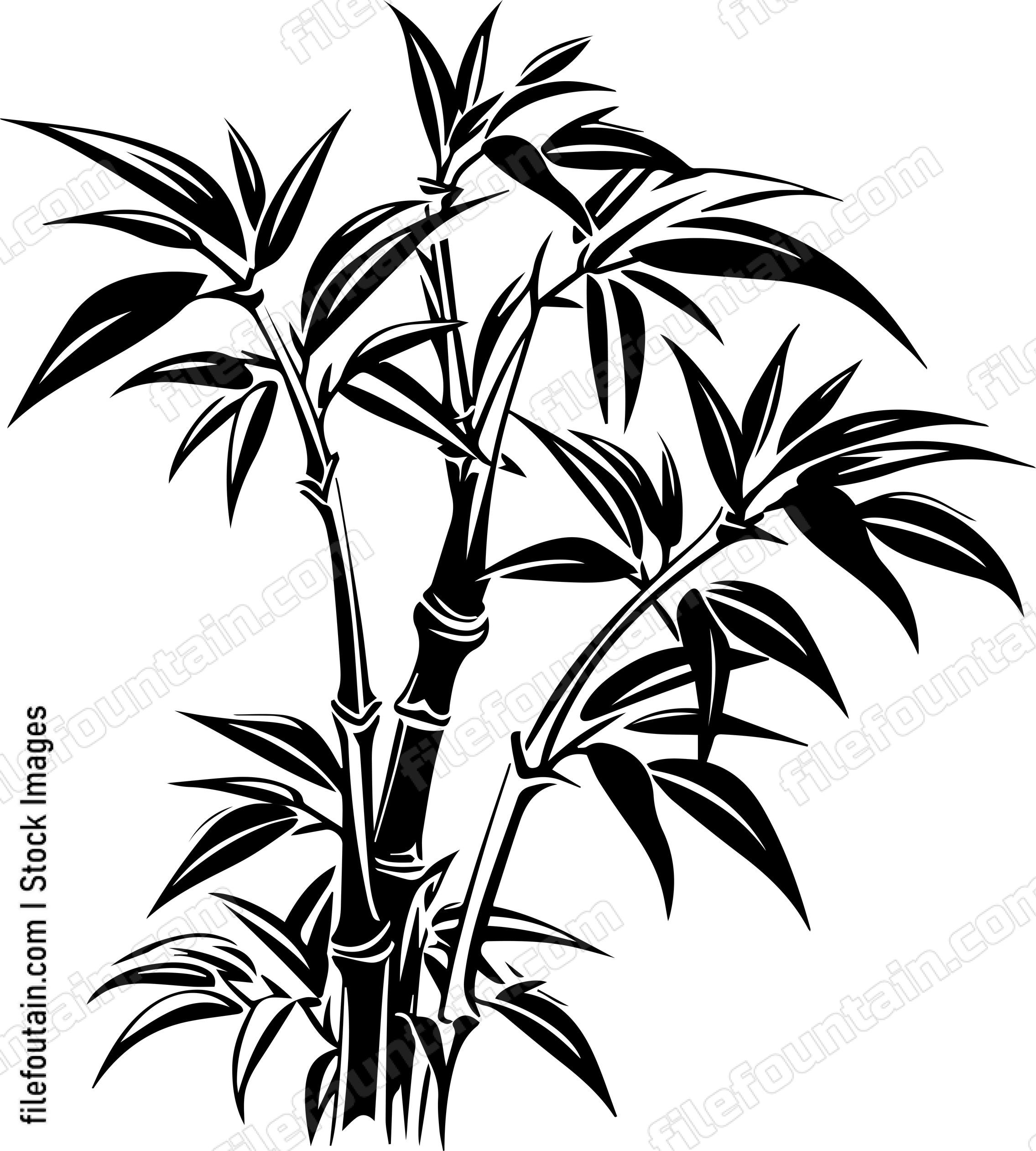 Bamboo