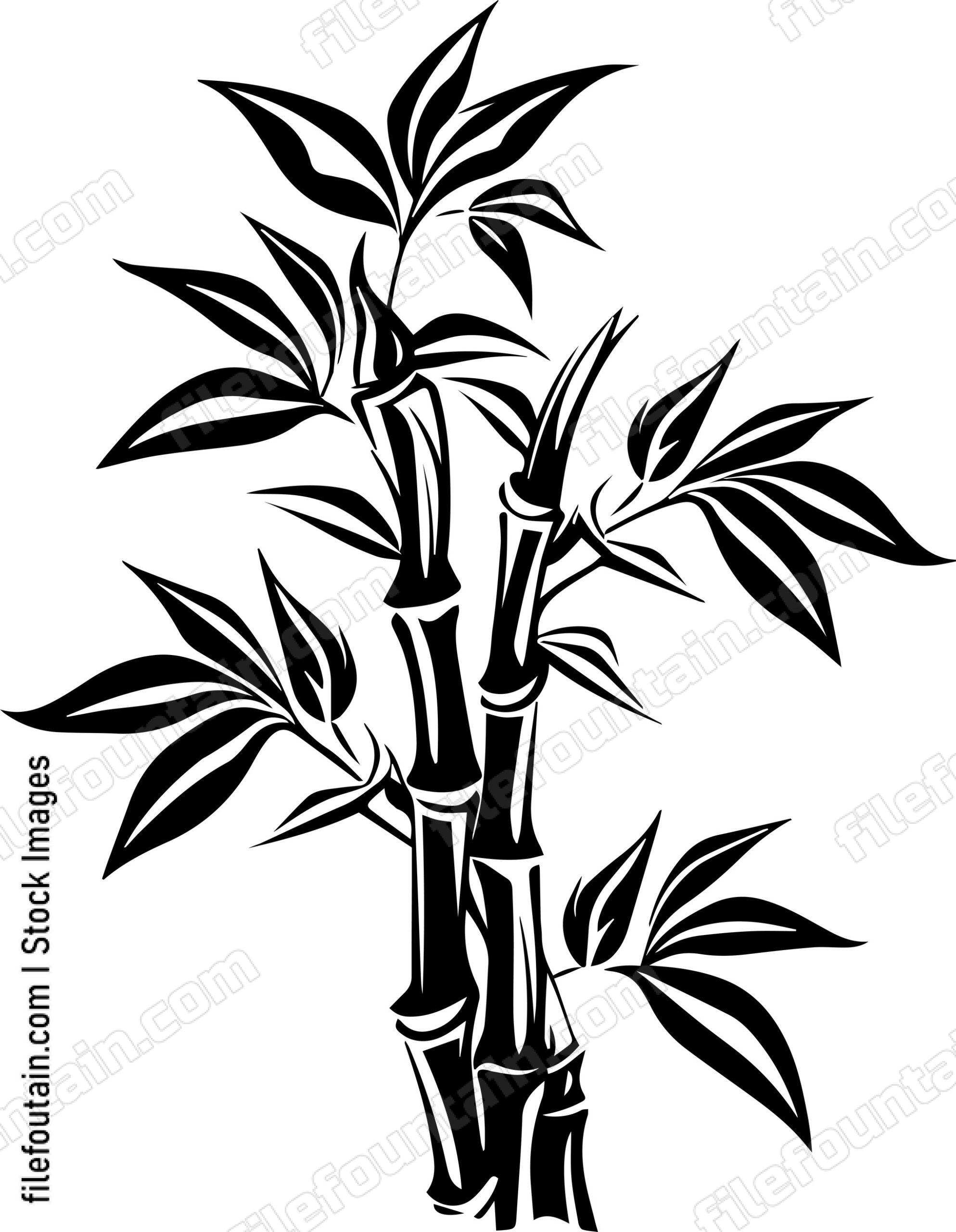Bamboo