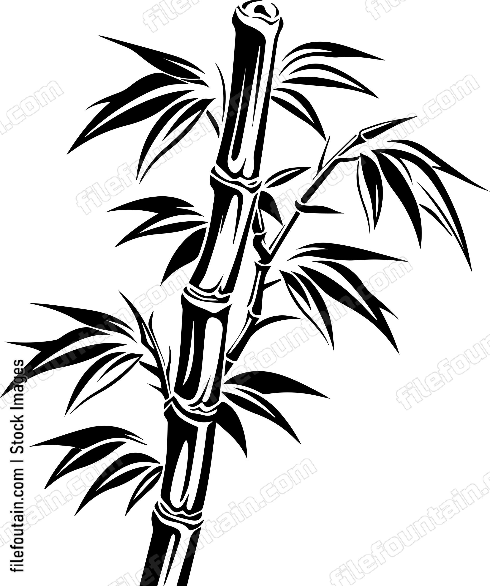 Bamboo