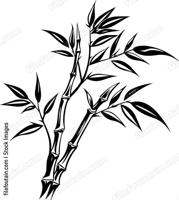 Bamboo