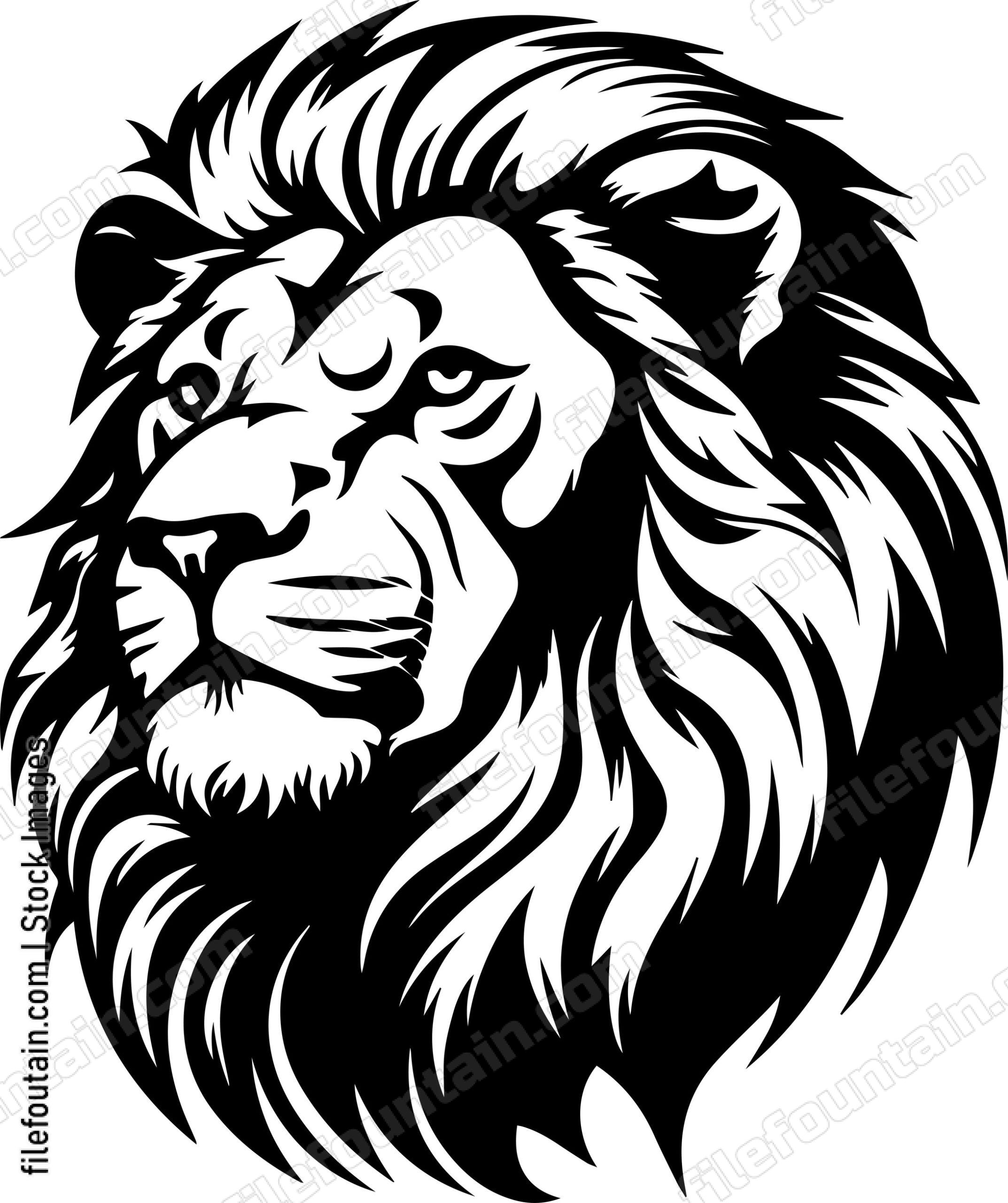 Barbary Lion