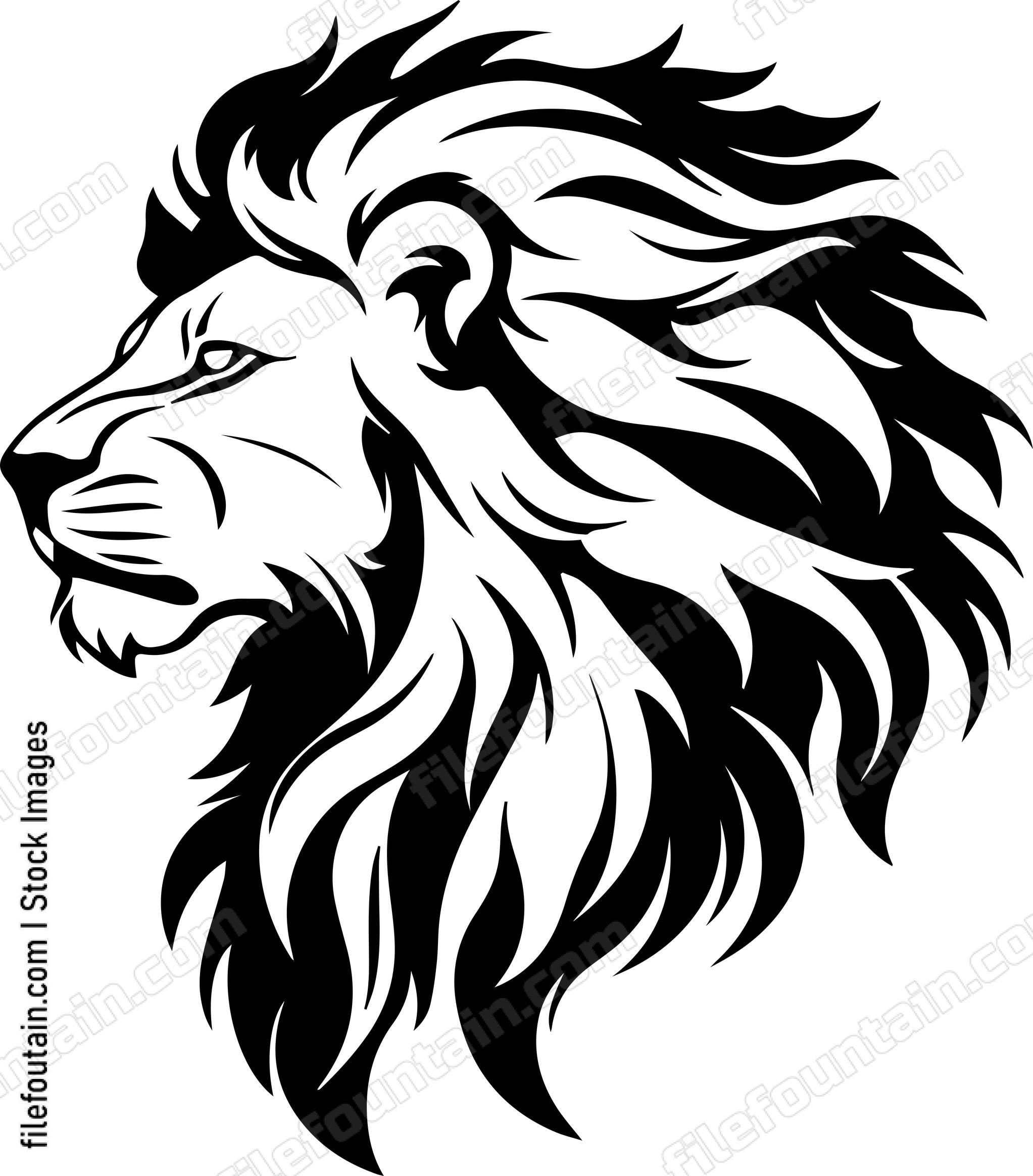 barbary lion