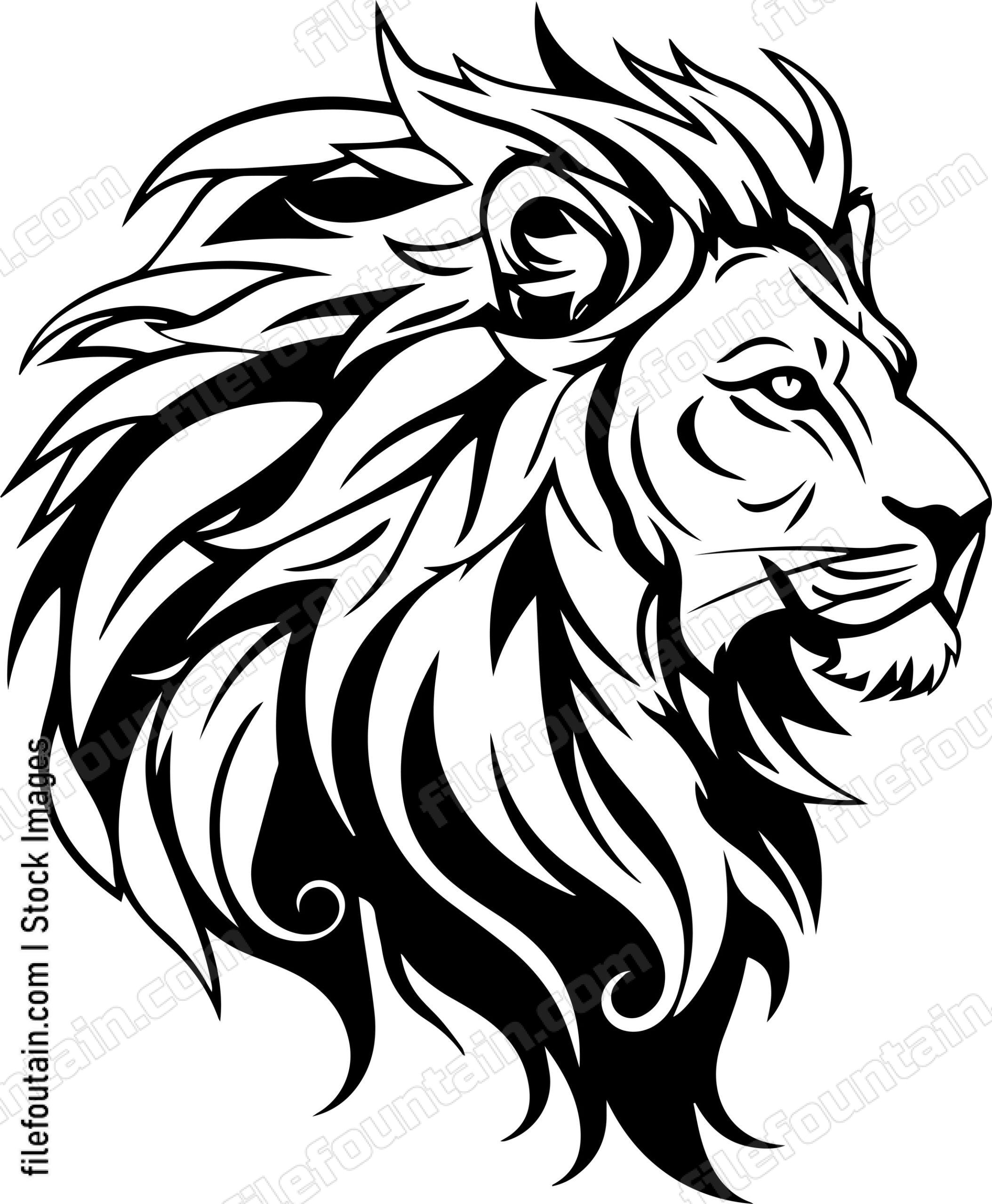 barbary lion