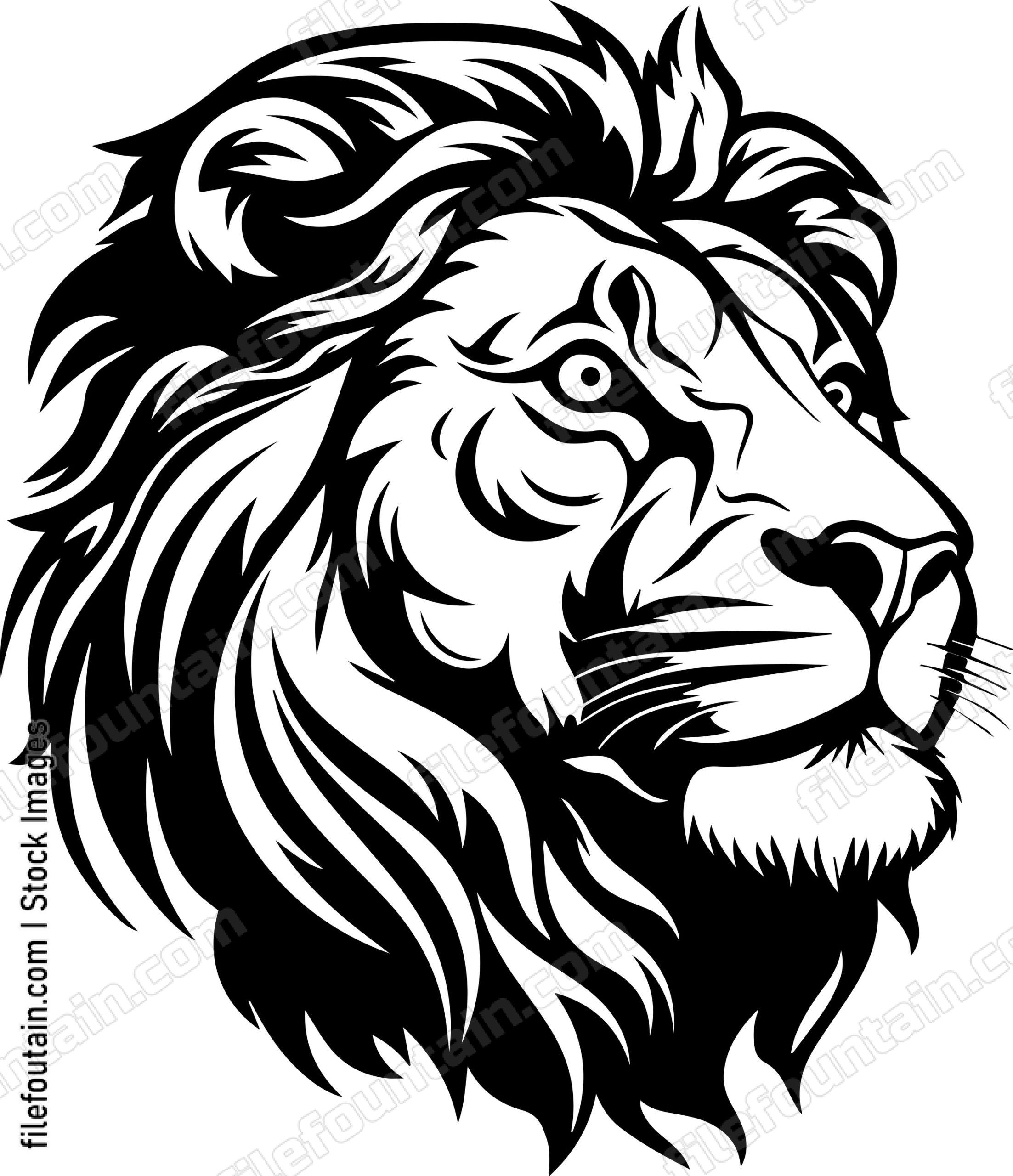 Barbary Lion