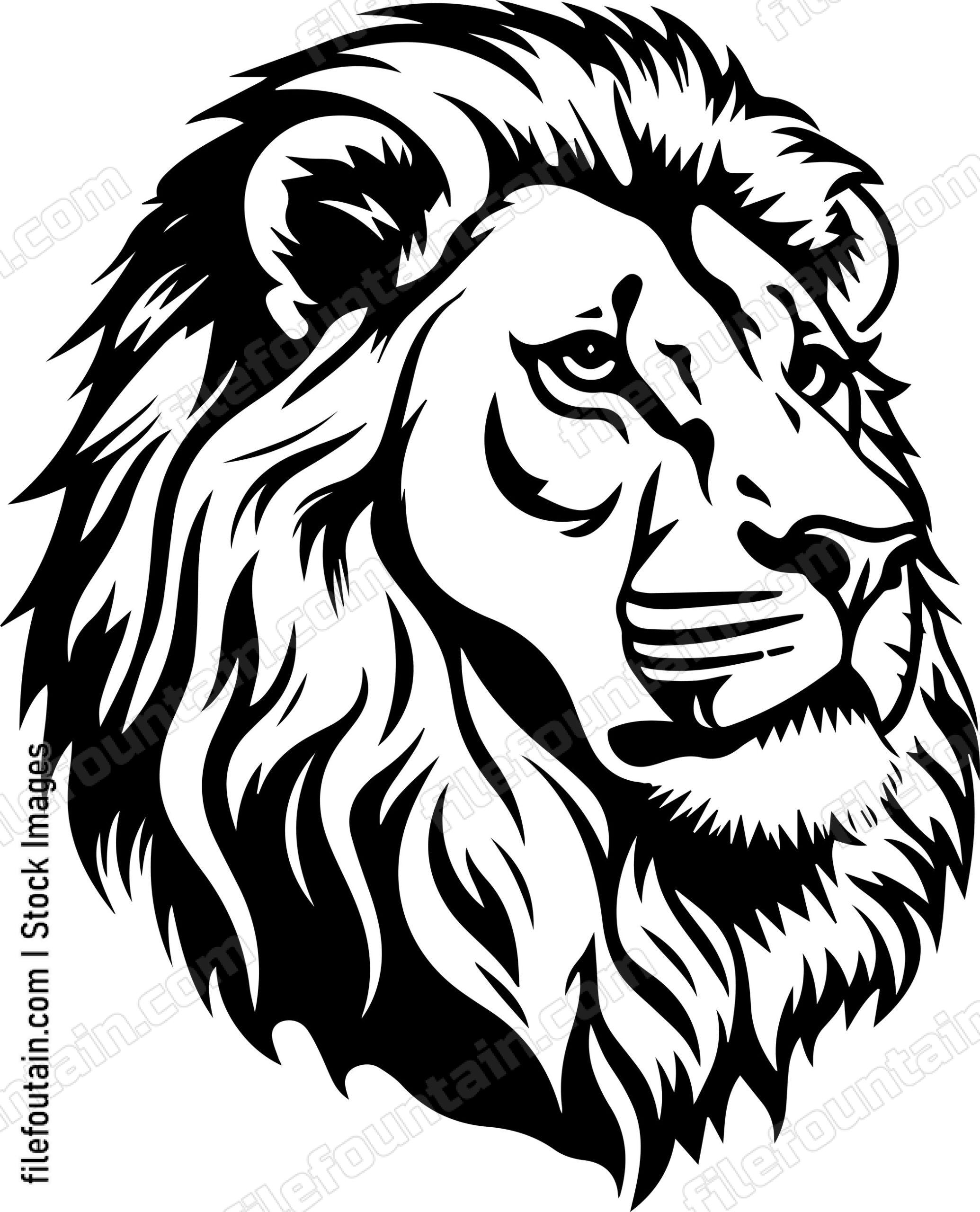 Barbary Lion