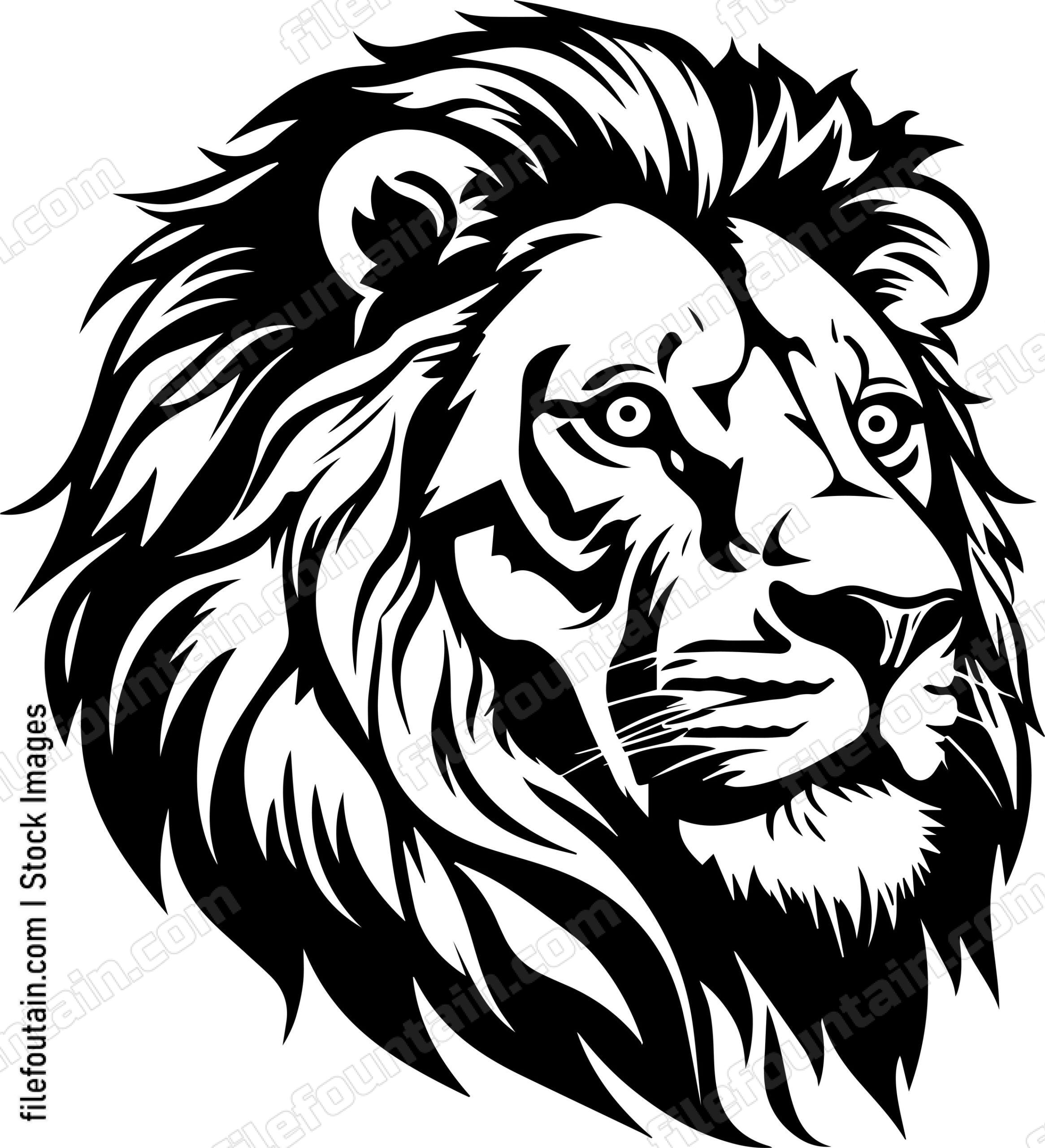 Barbary Lion