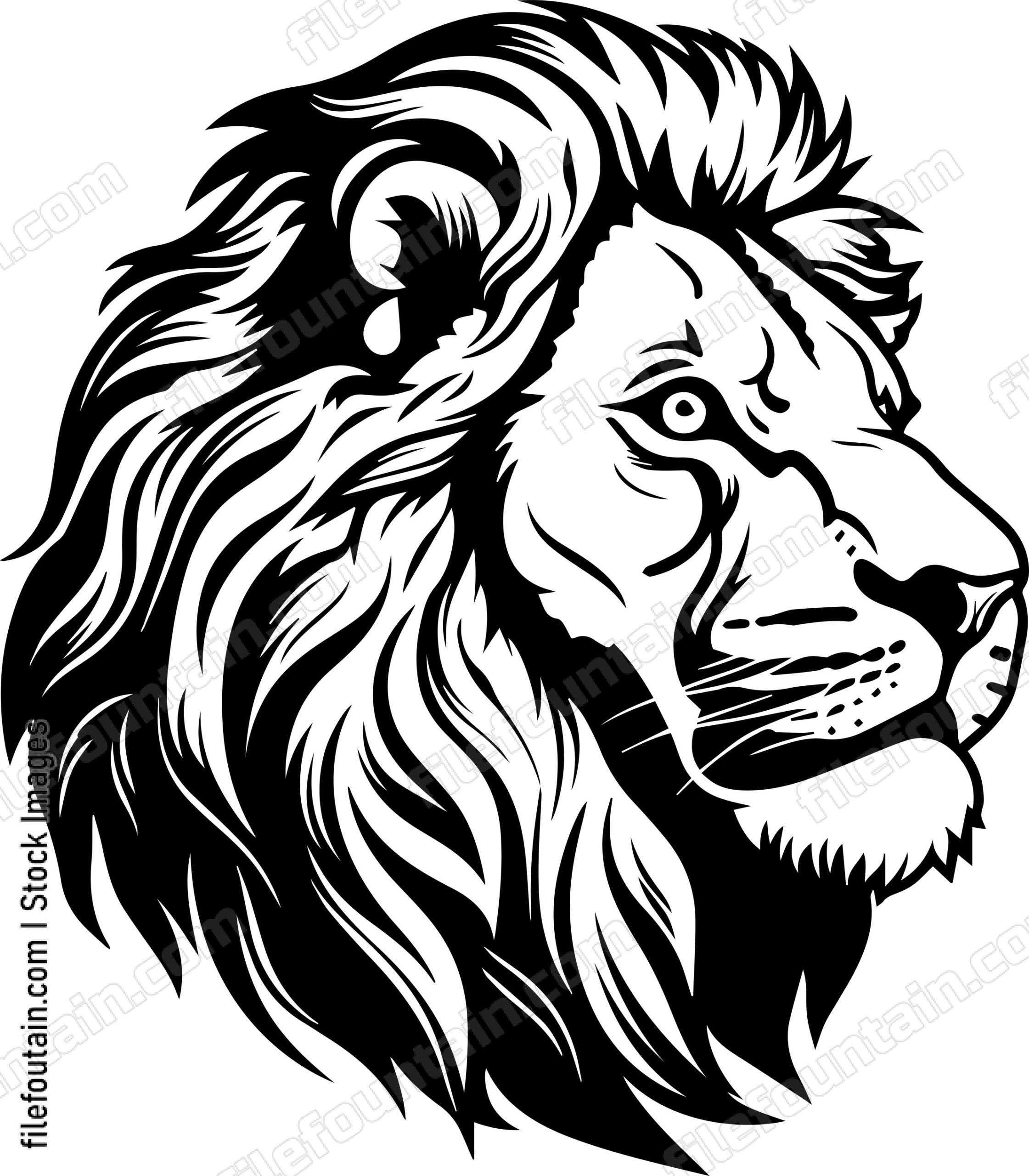 Barbary Lion
