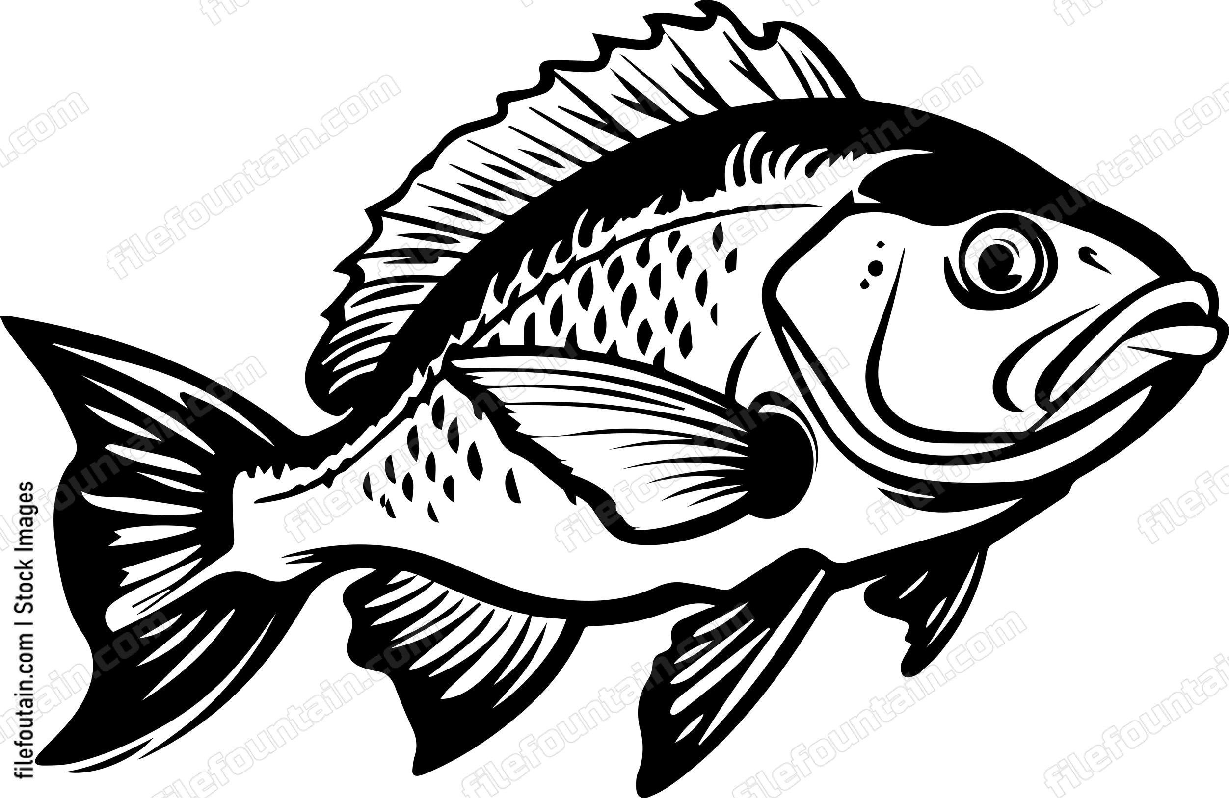 Bass Fish
