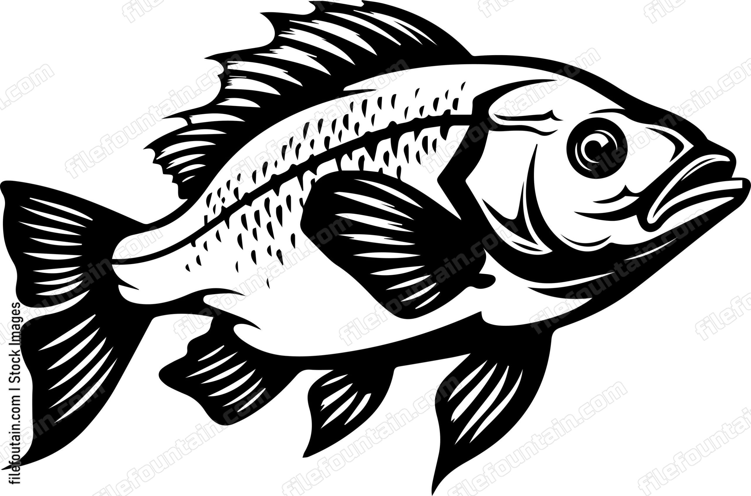 Bass Fish