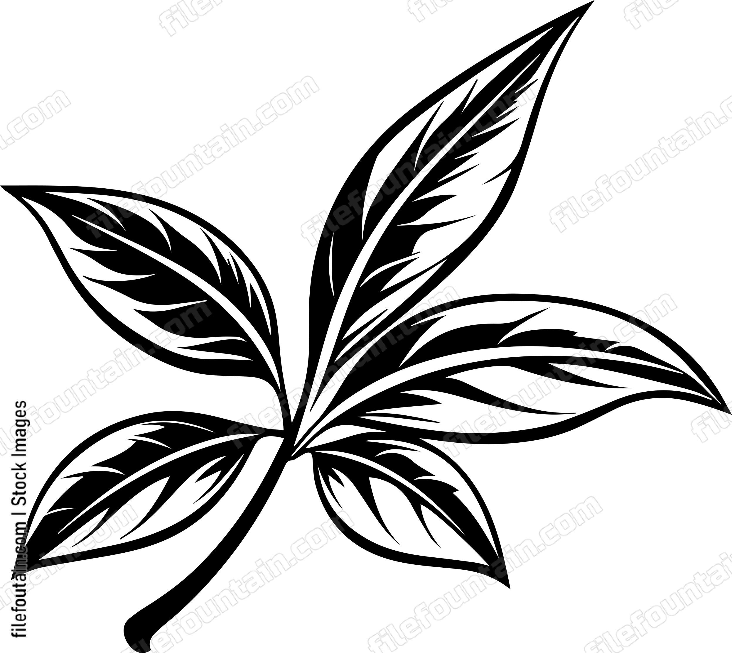 Bay Leaf