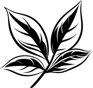 Bay Leaf