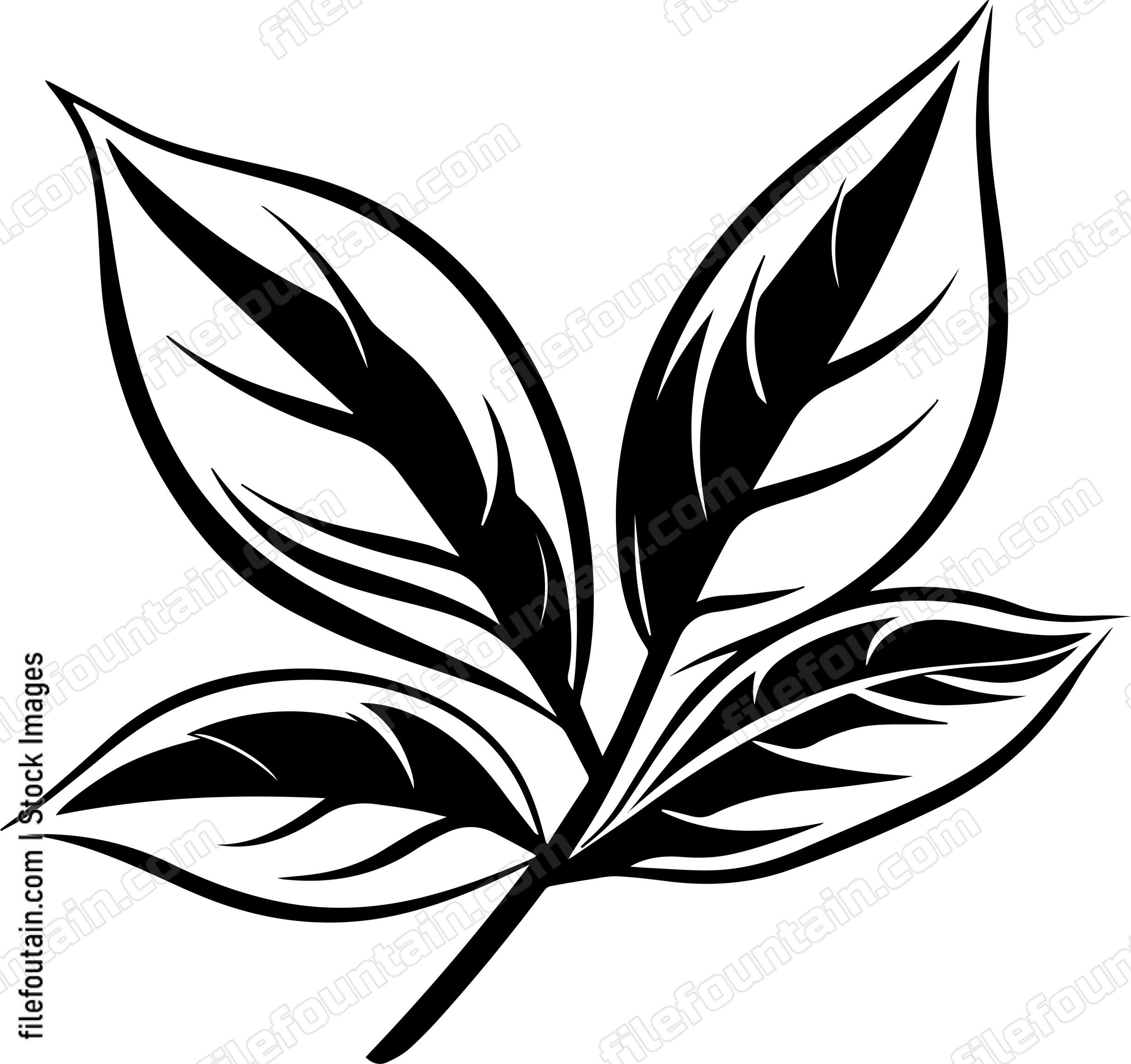 Bay Leaf