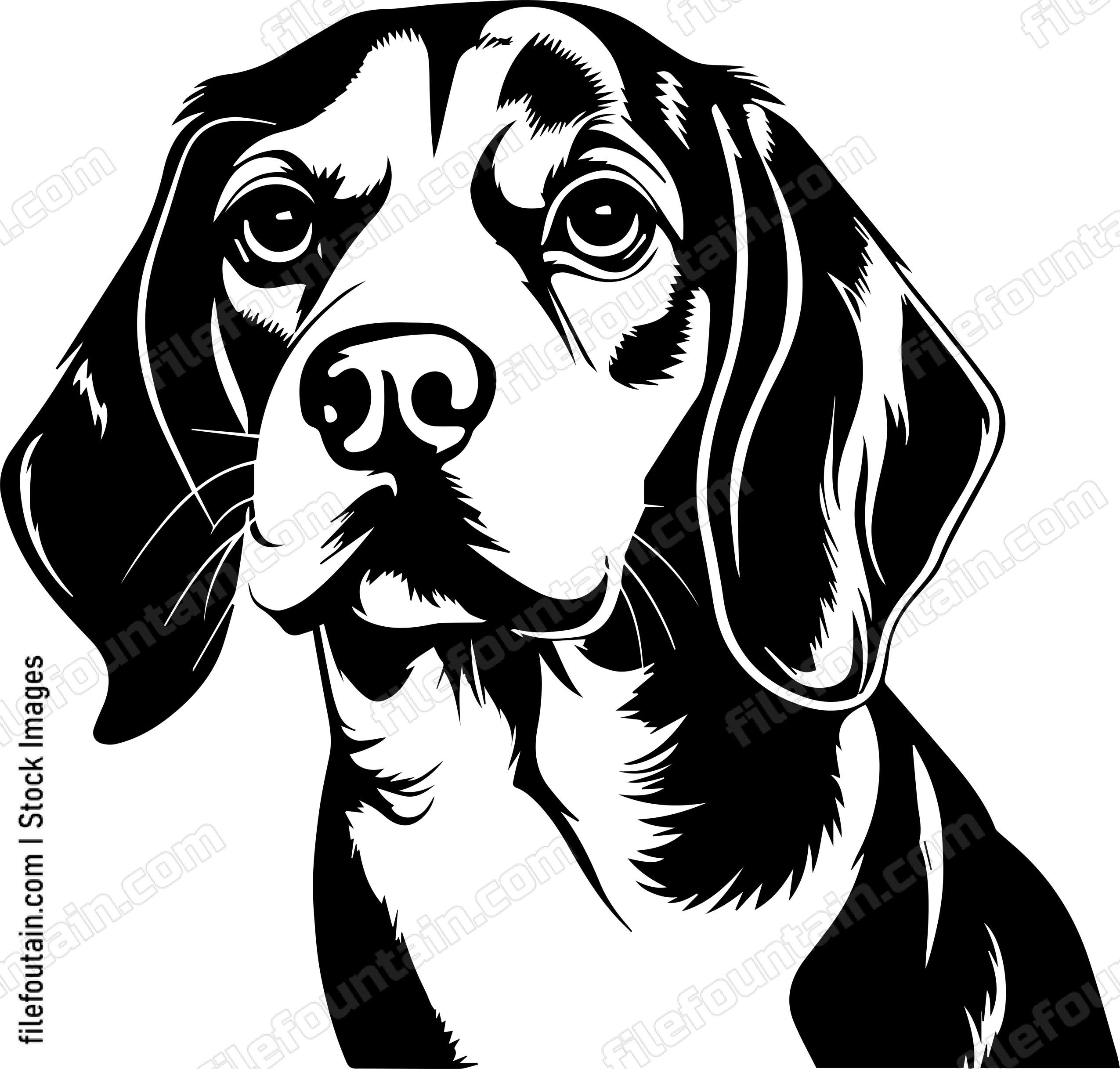 Beagle Dog