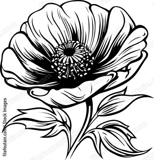 Beautiful Flower