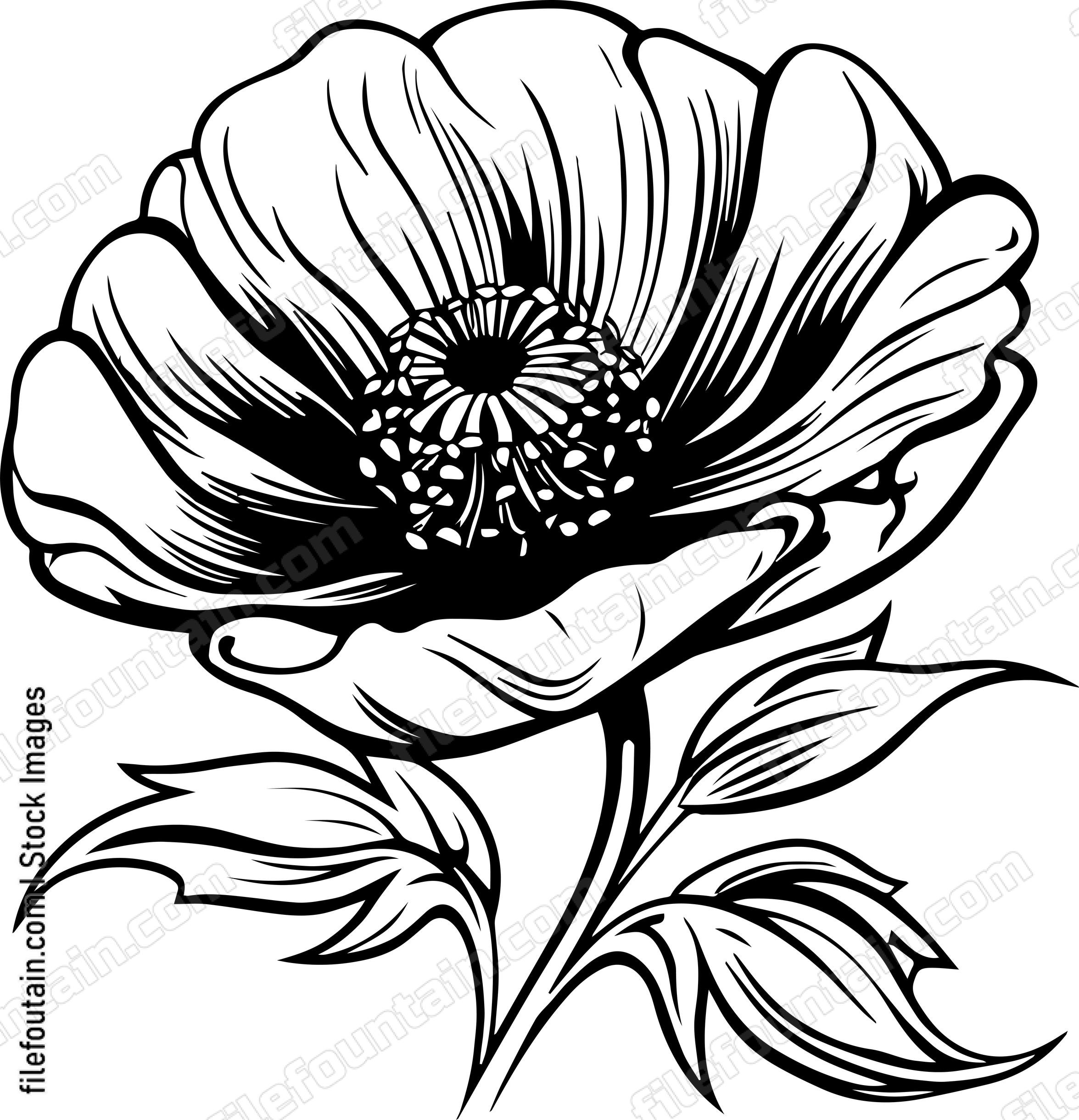 Beautiful Flower