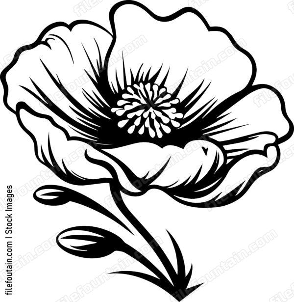 Beautiful Flower