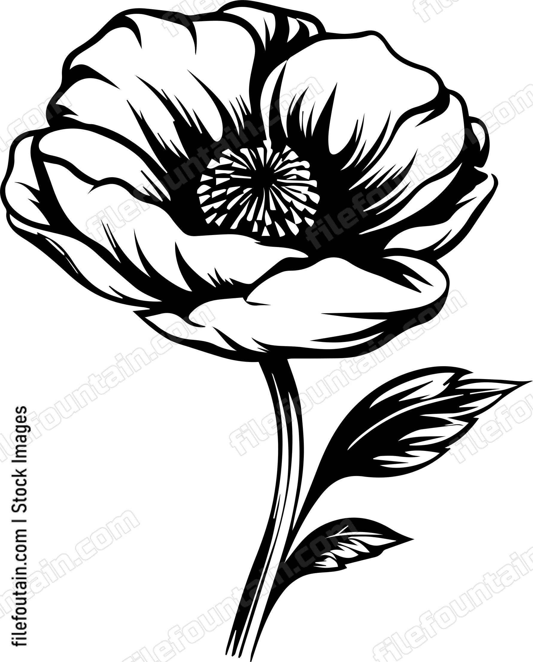 Beautiful Flower