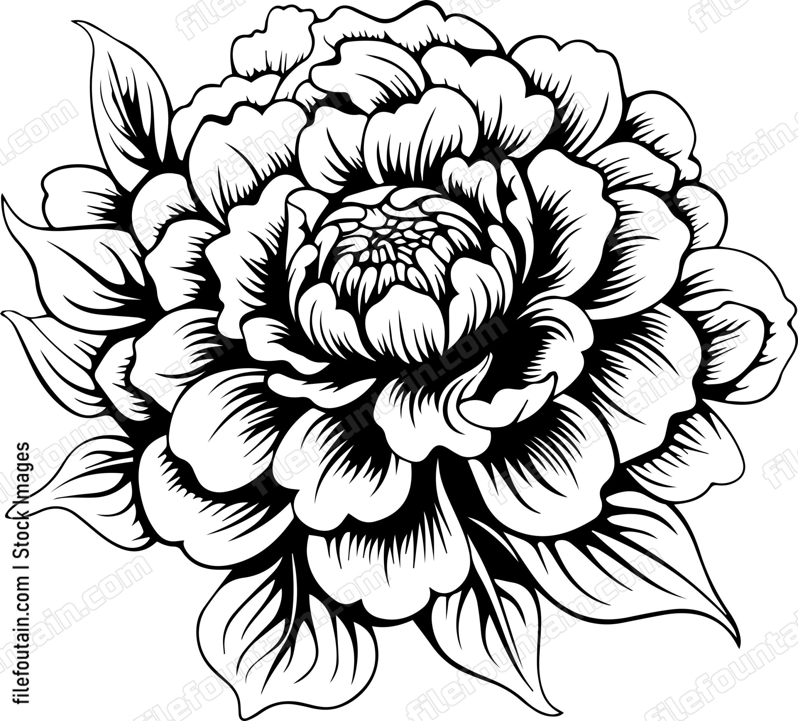 Beautiful flower