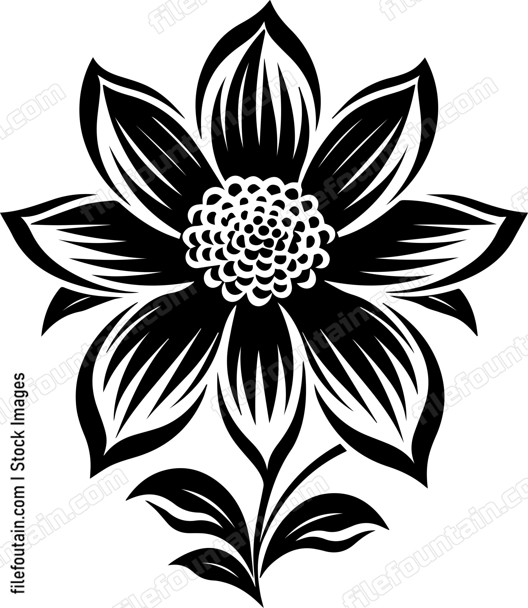 Beautiful flower