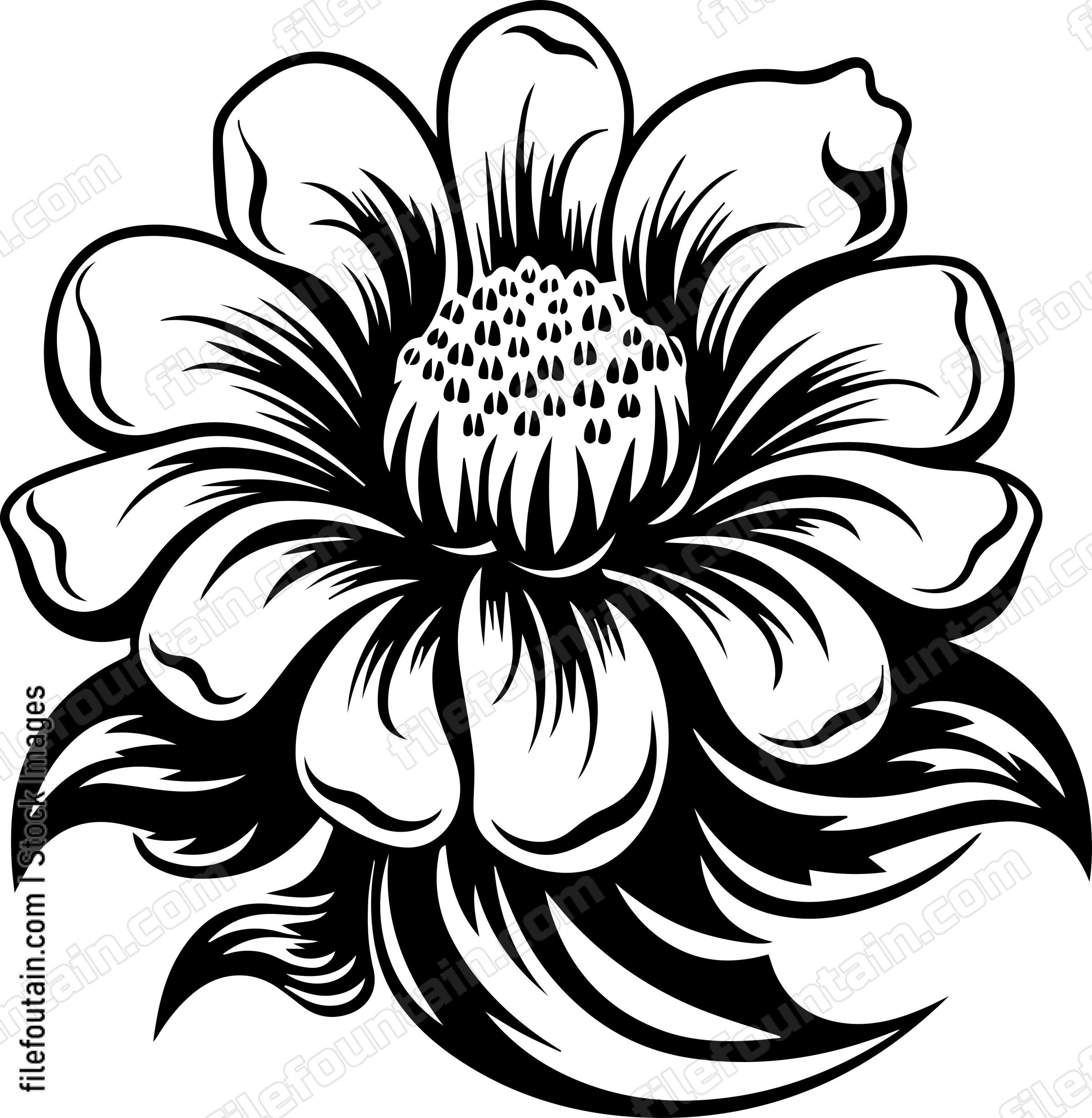 Beautiful flower
