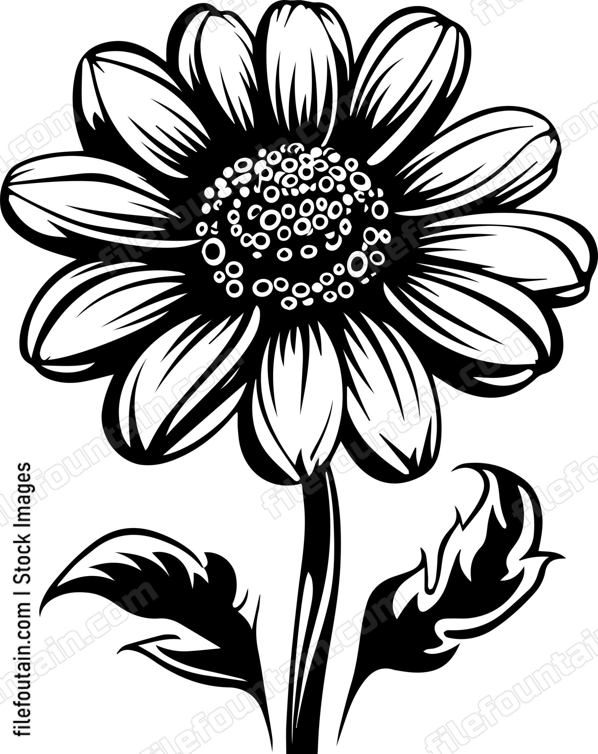 Beautiful flower