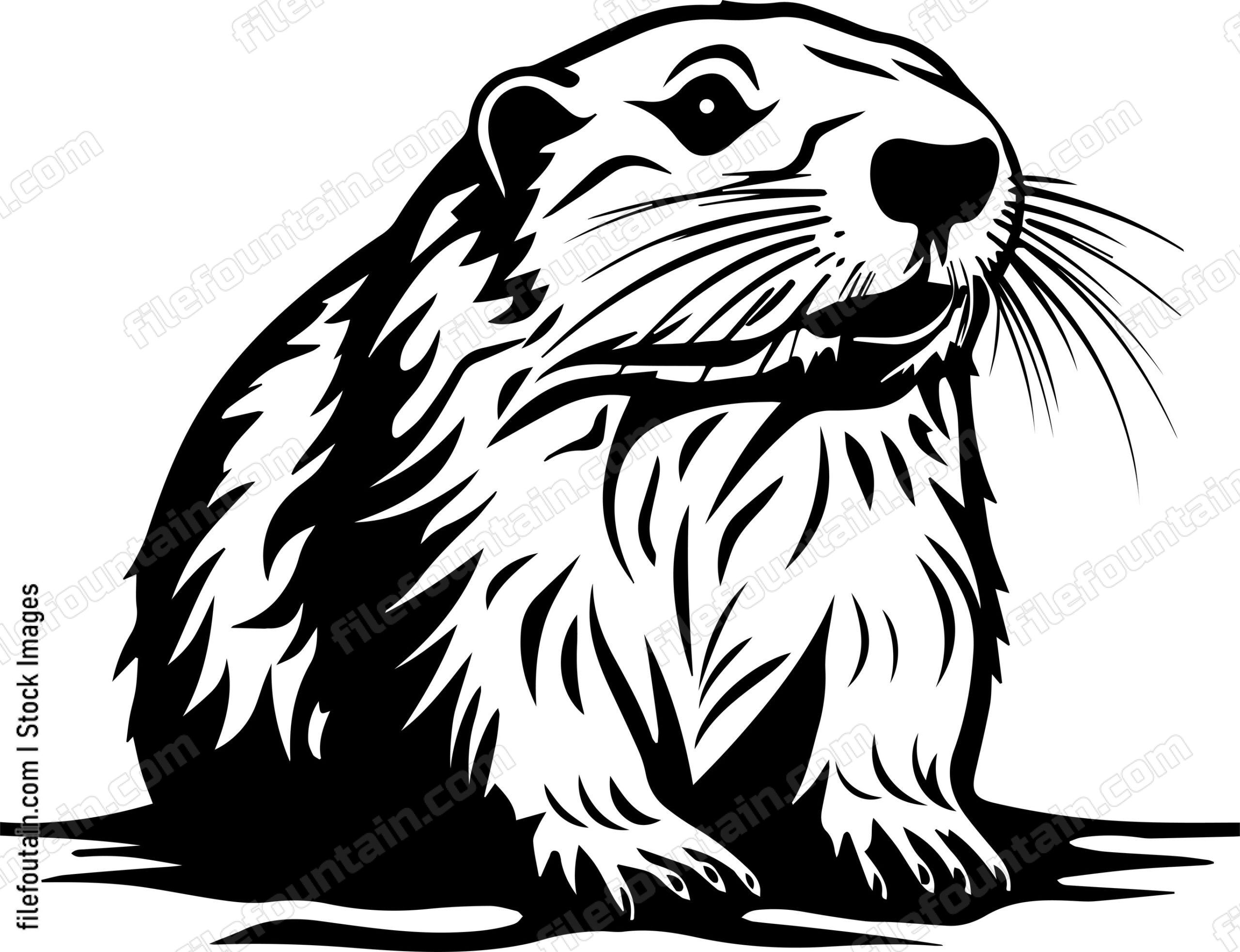 Beaver