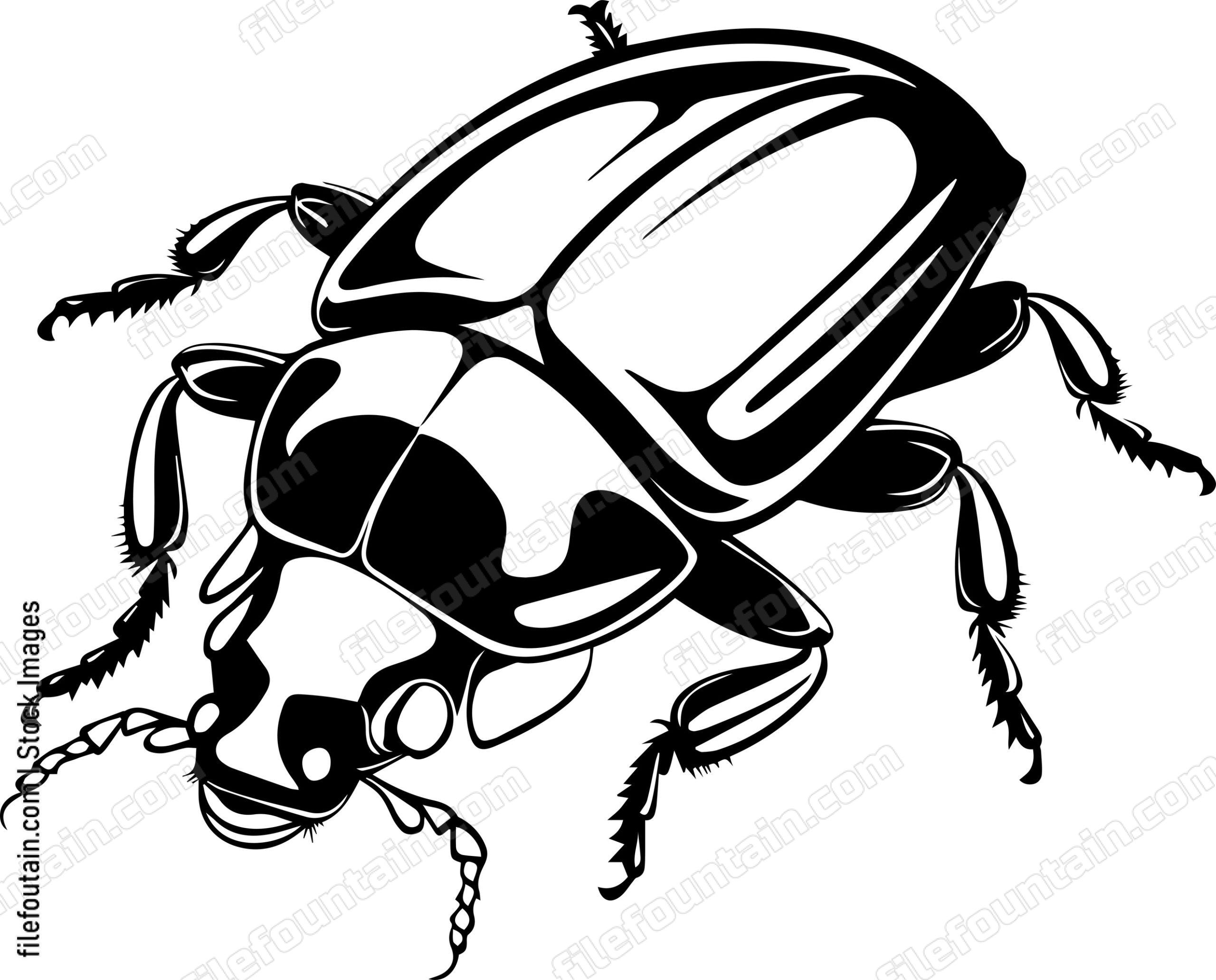 Bed Bugs