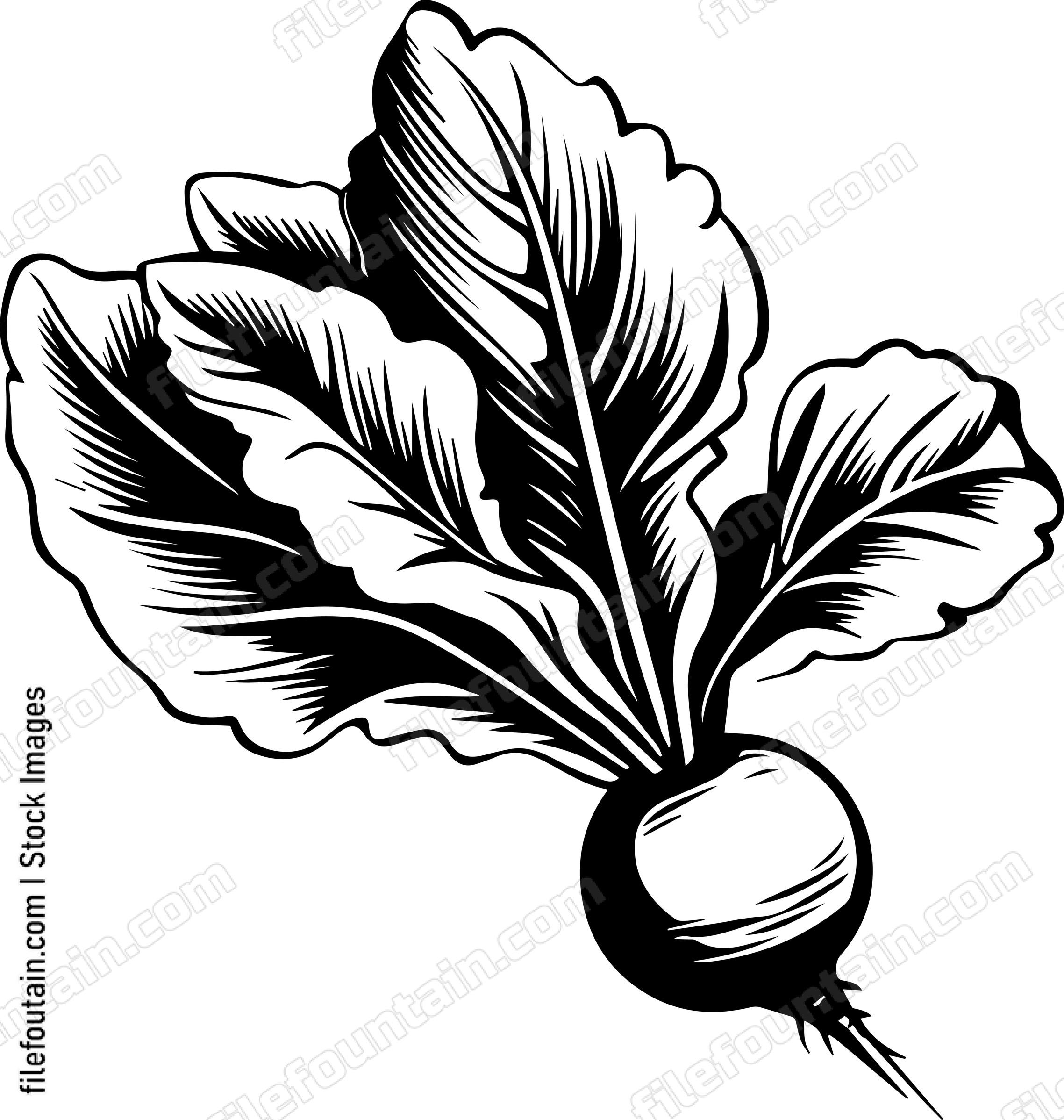 Beet