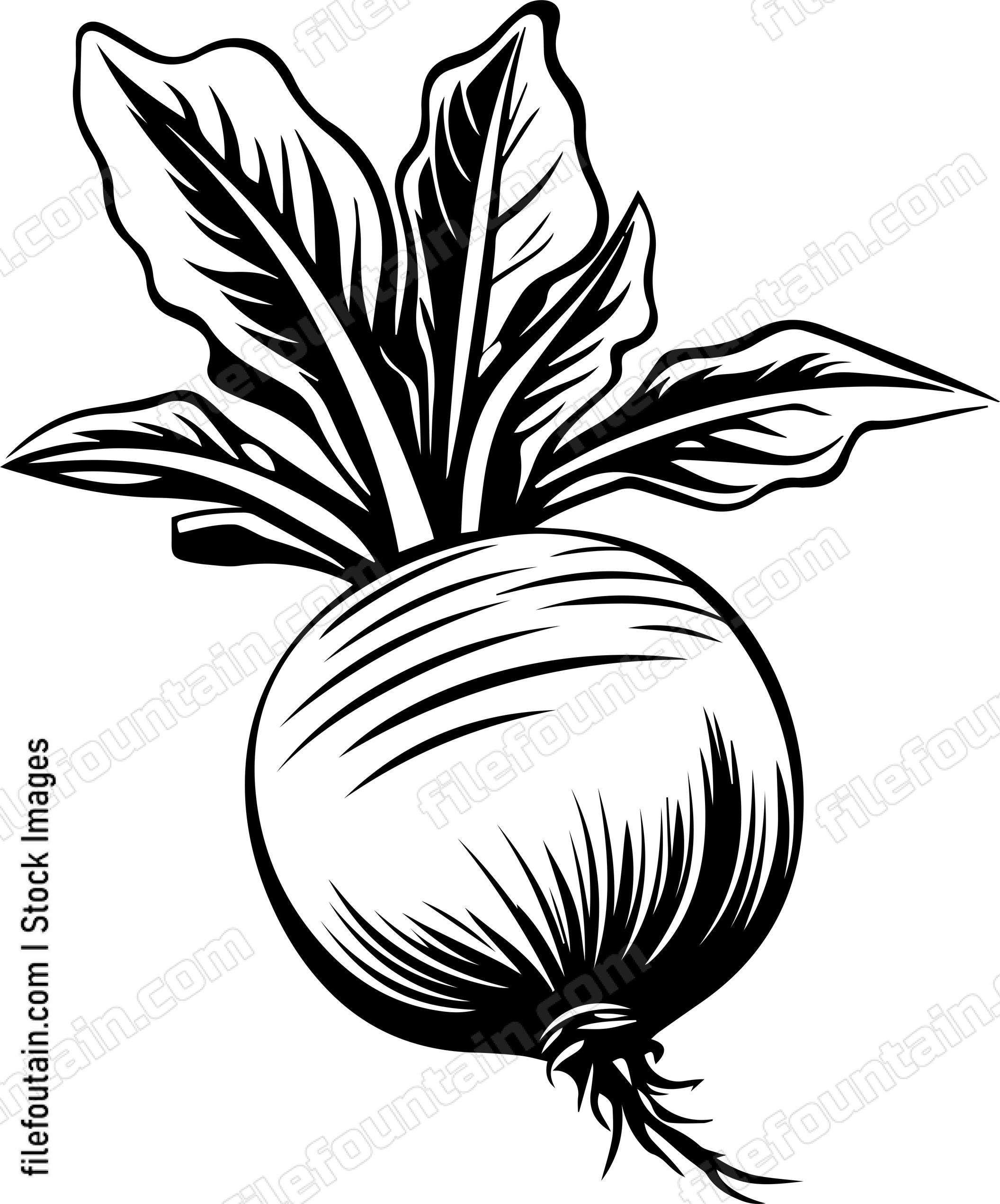 Beet