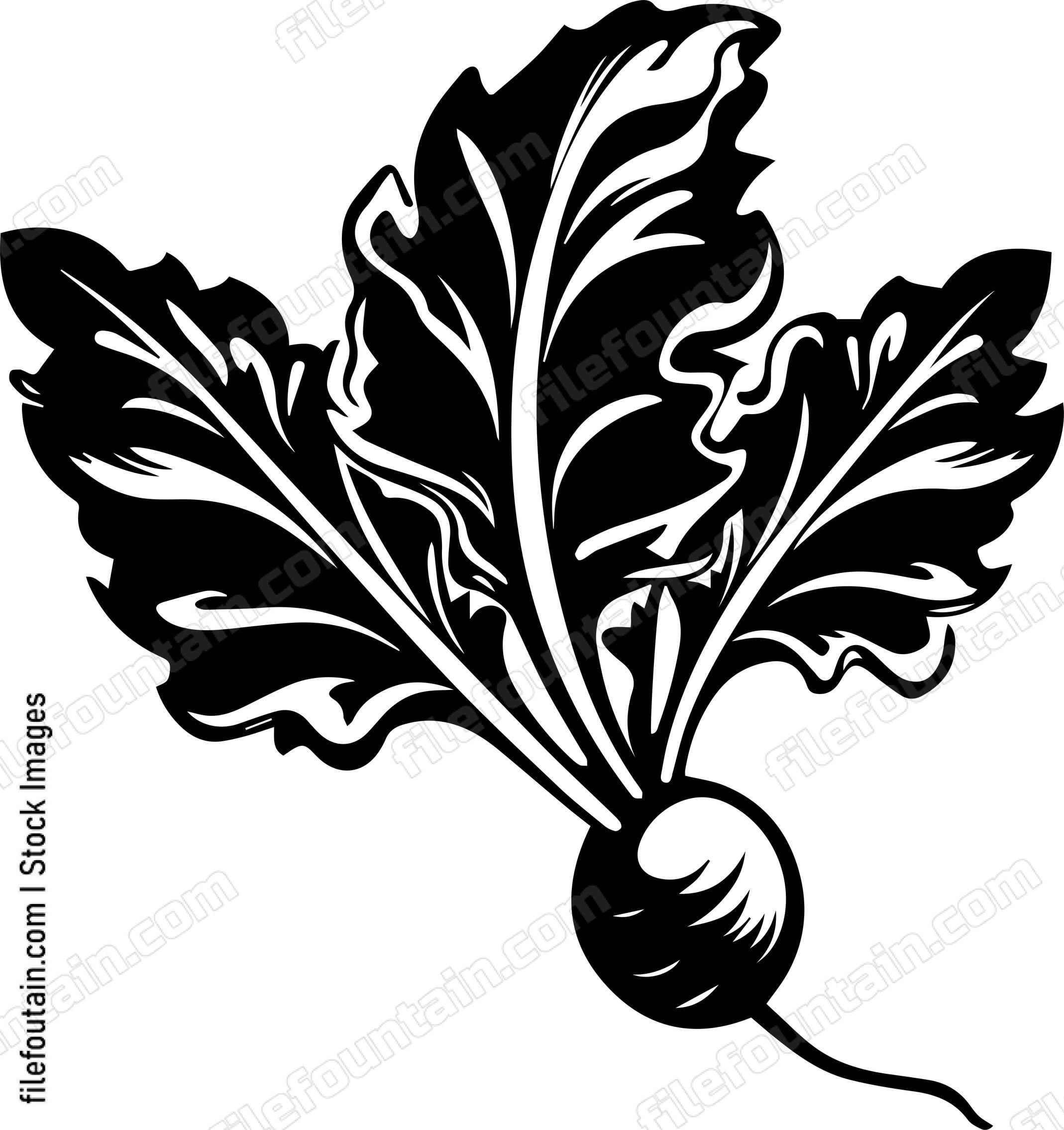 Beet