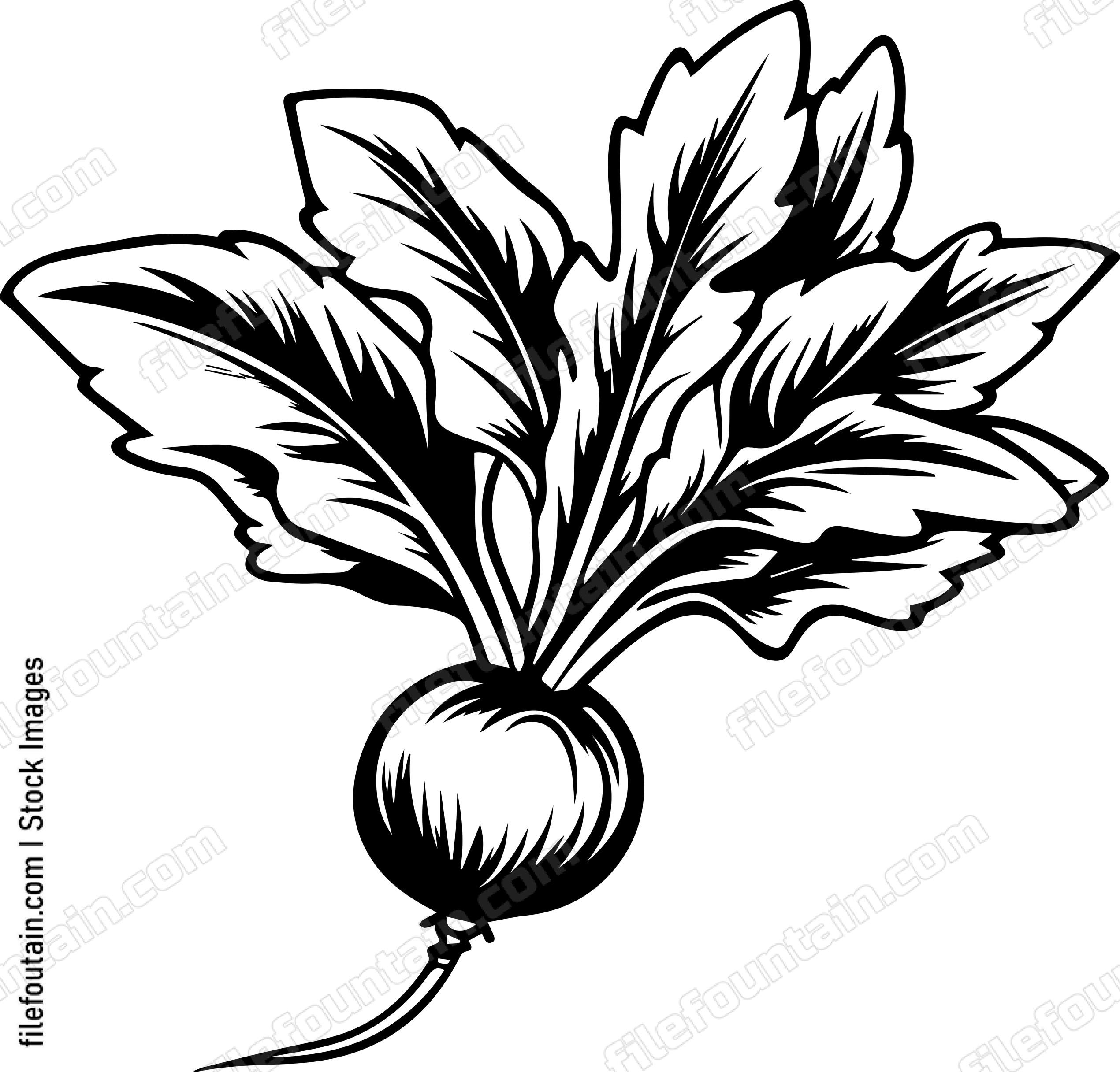Beet