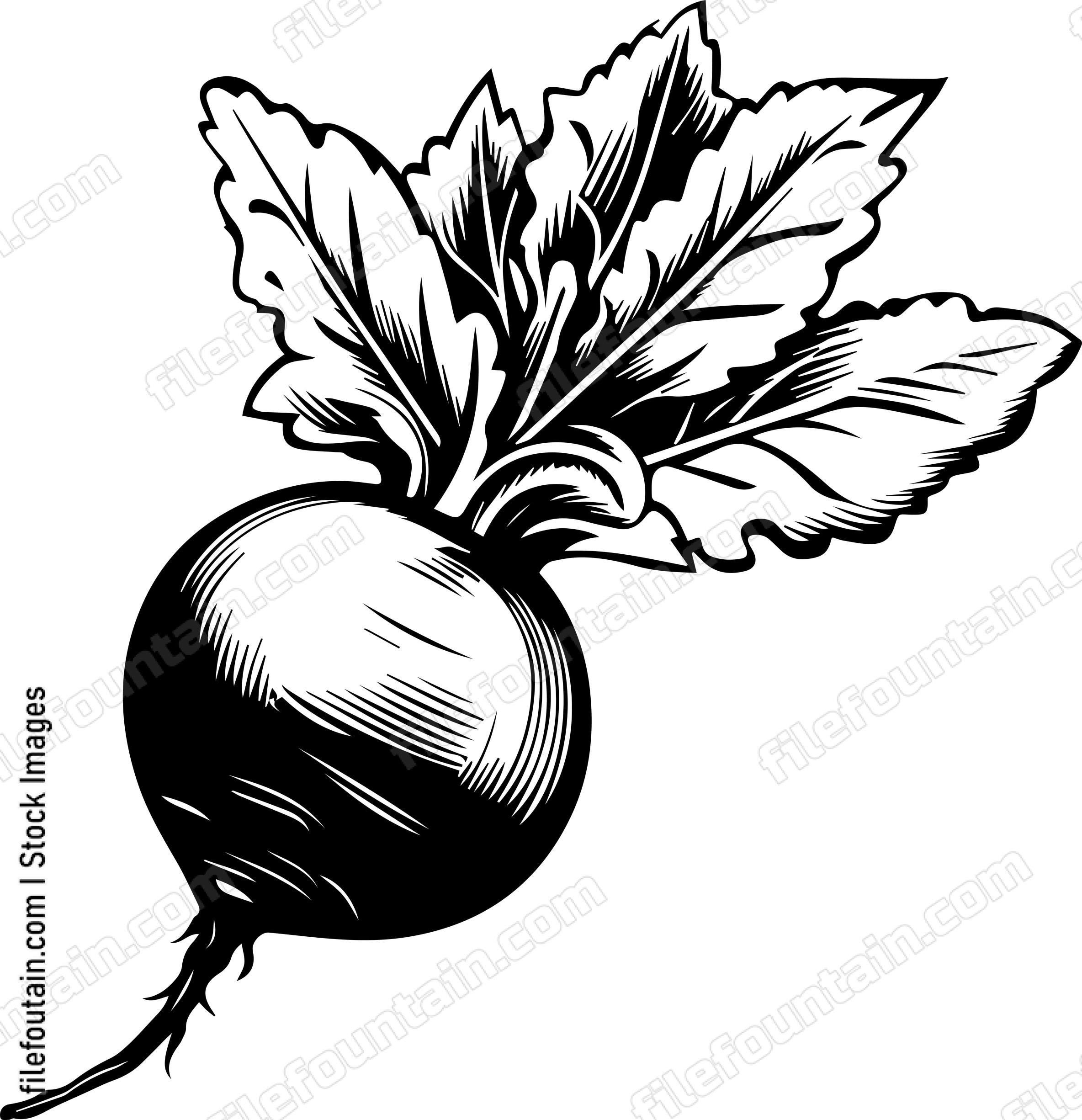 Beet