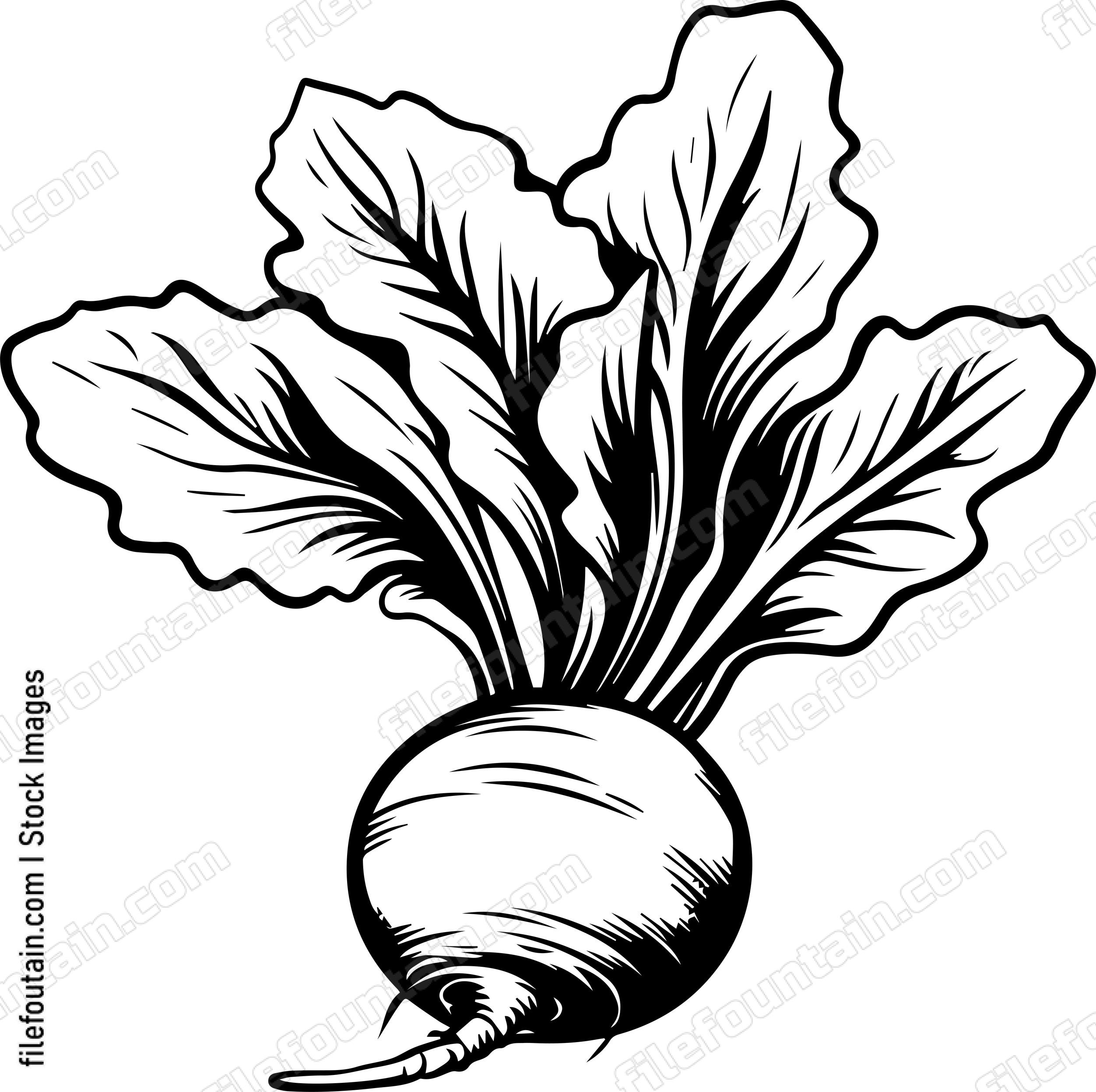 Beet
