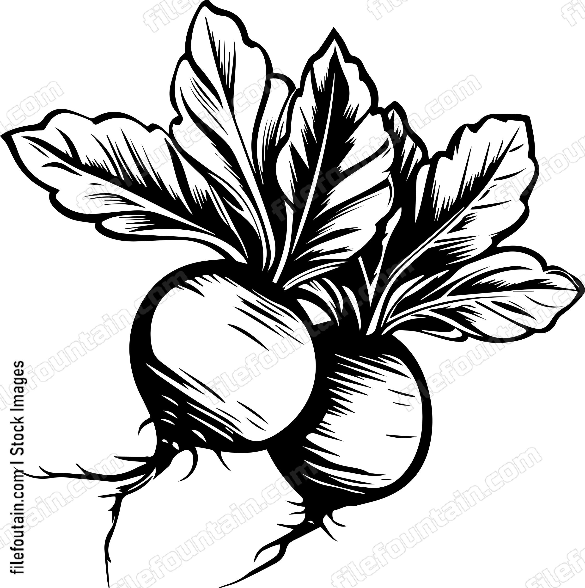 Beet